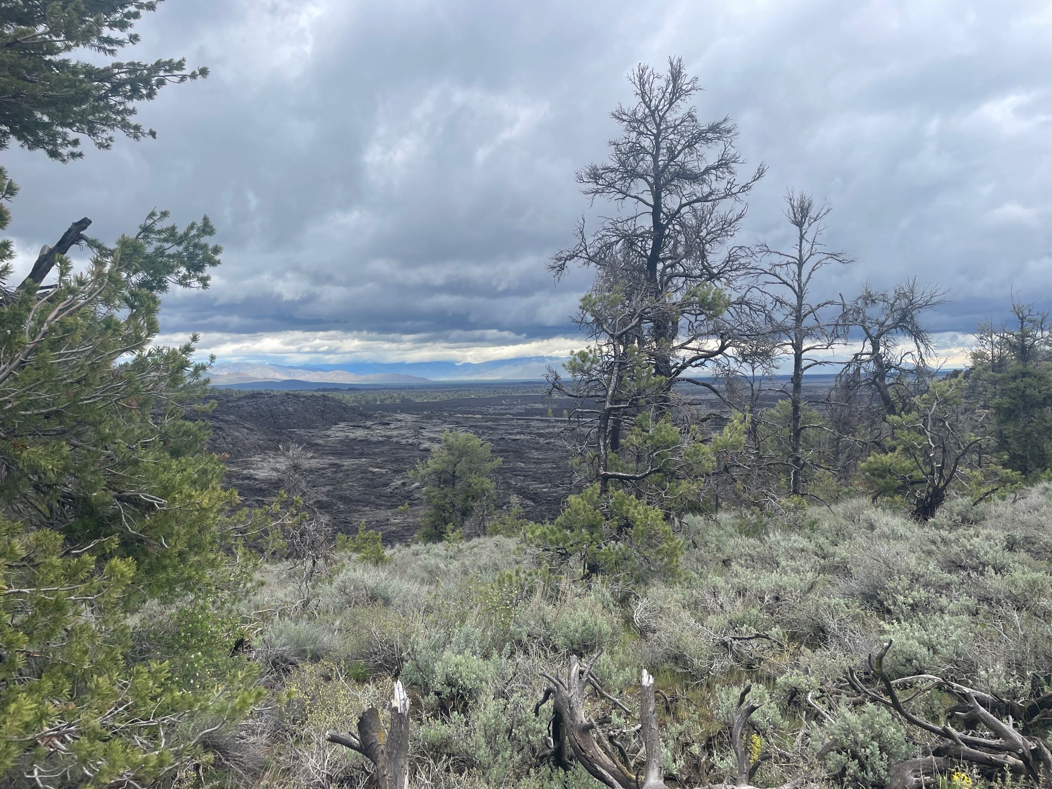 Overcast sky above a rugged, dark volcanic landscape with sparse trees. - Broken Top Loop Trail