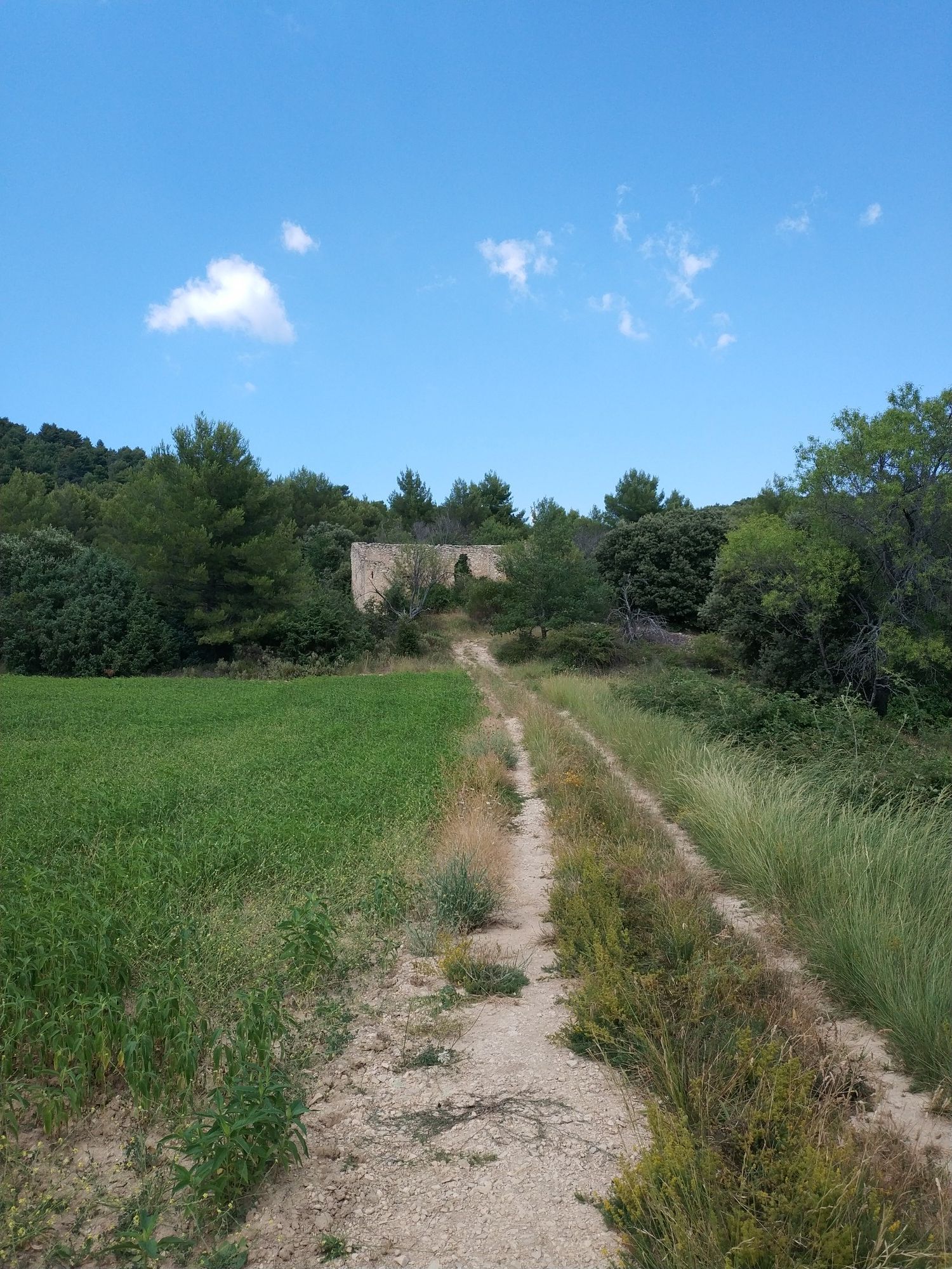 ruine