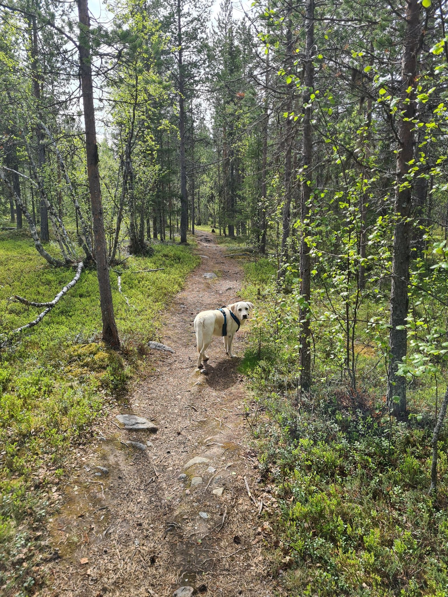auf Naturwegen vom Ersten bis zum Letzten Meter