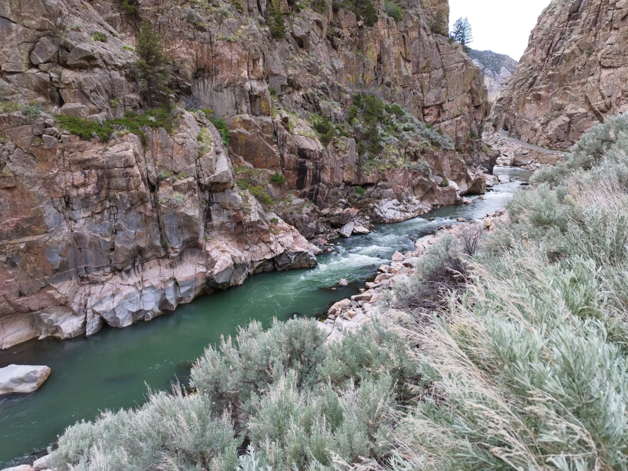 Green river winds through a narrow, rocky canyon with dense sagebrush. - Buffalo Bill Dam via Hayden Arch Bridge