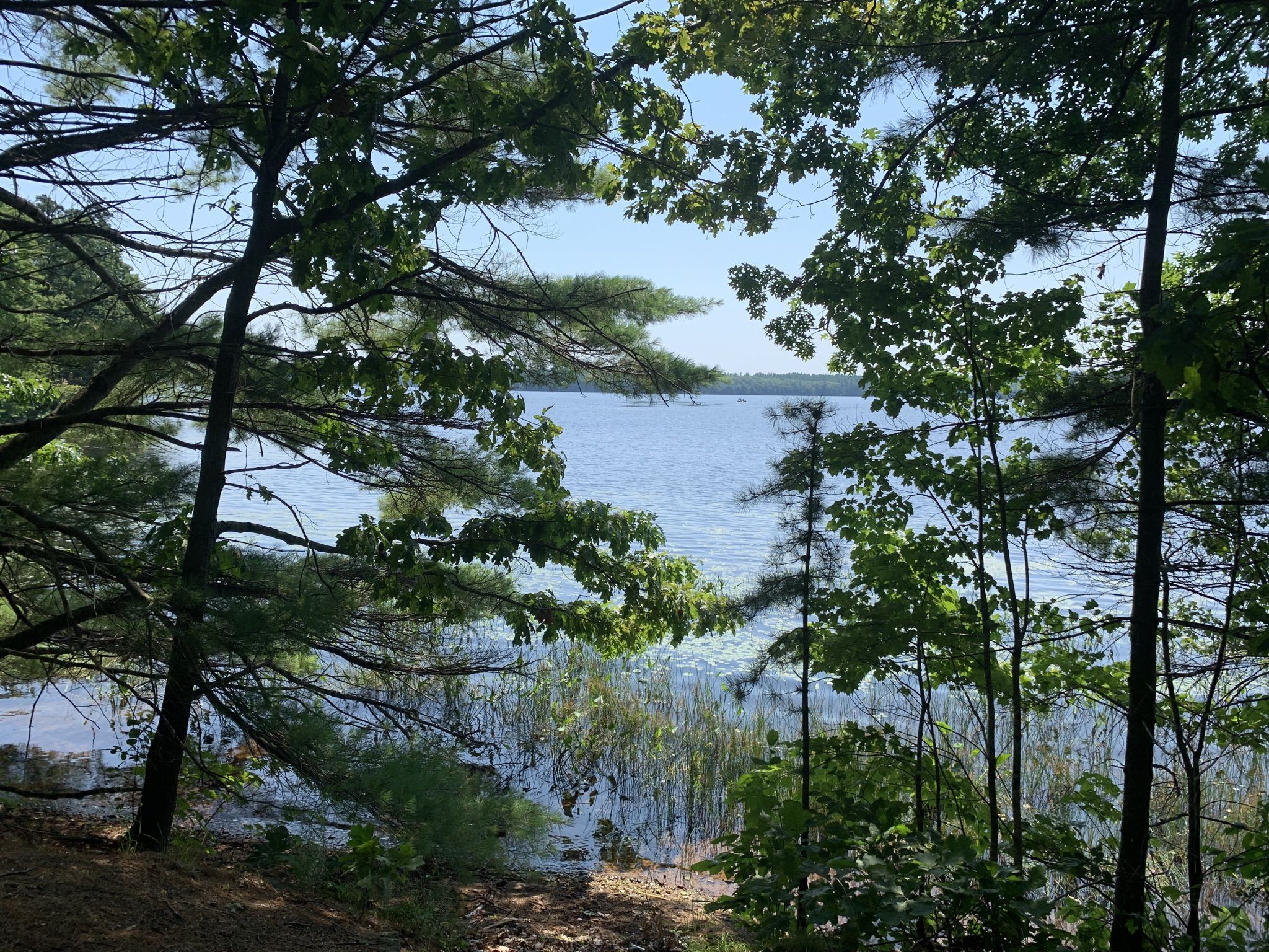 Blue lake visible through green tree branches on a sunny day. - Rockingham Recreational Rail Trail