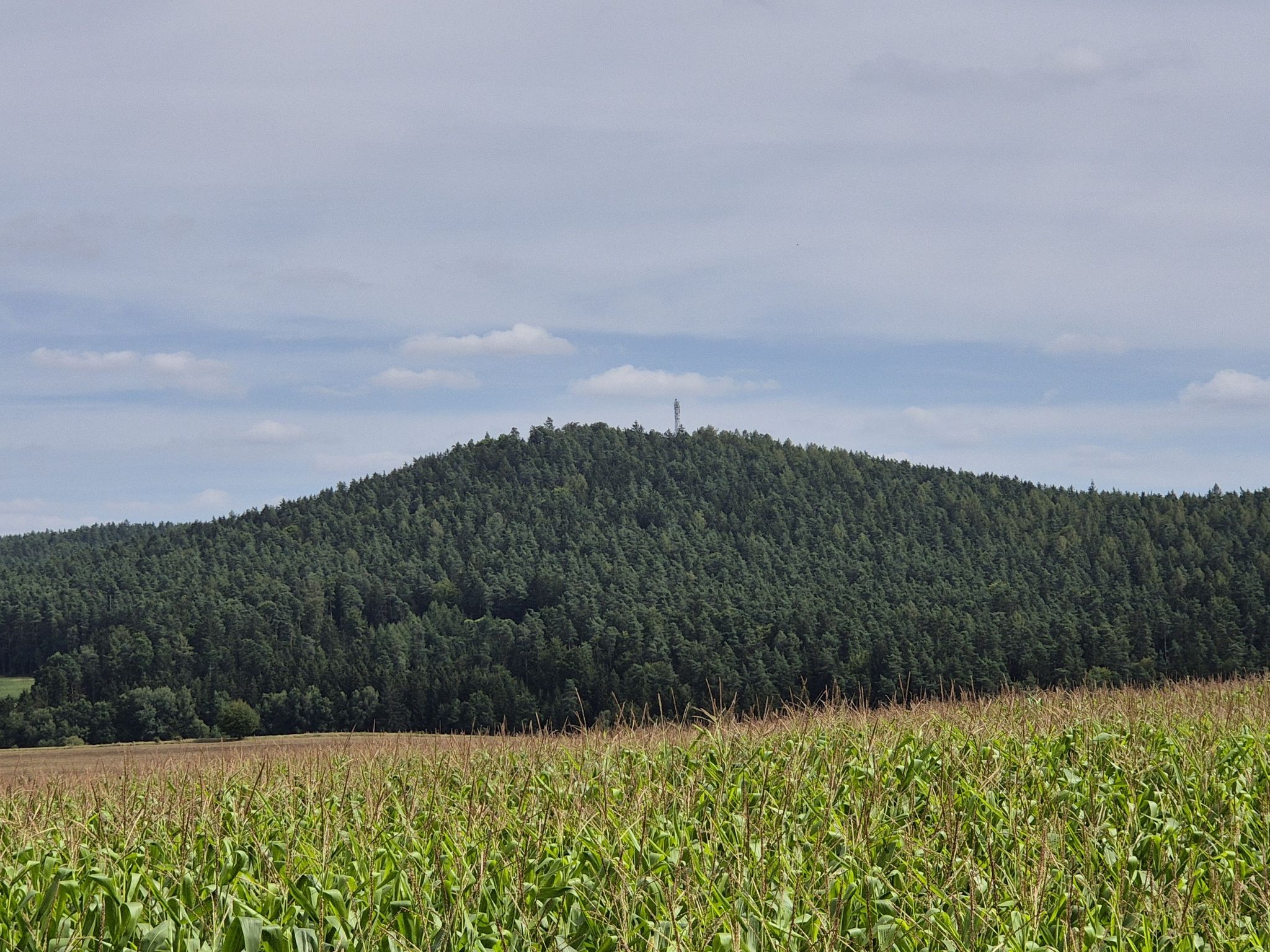 Blick zum Herrenberg