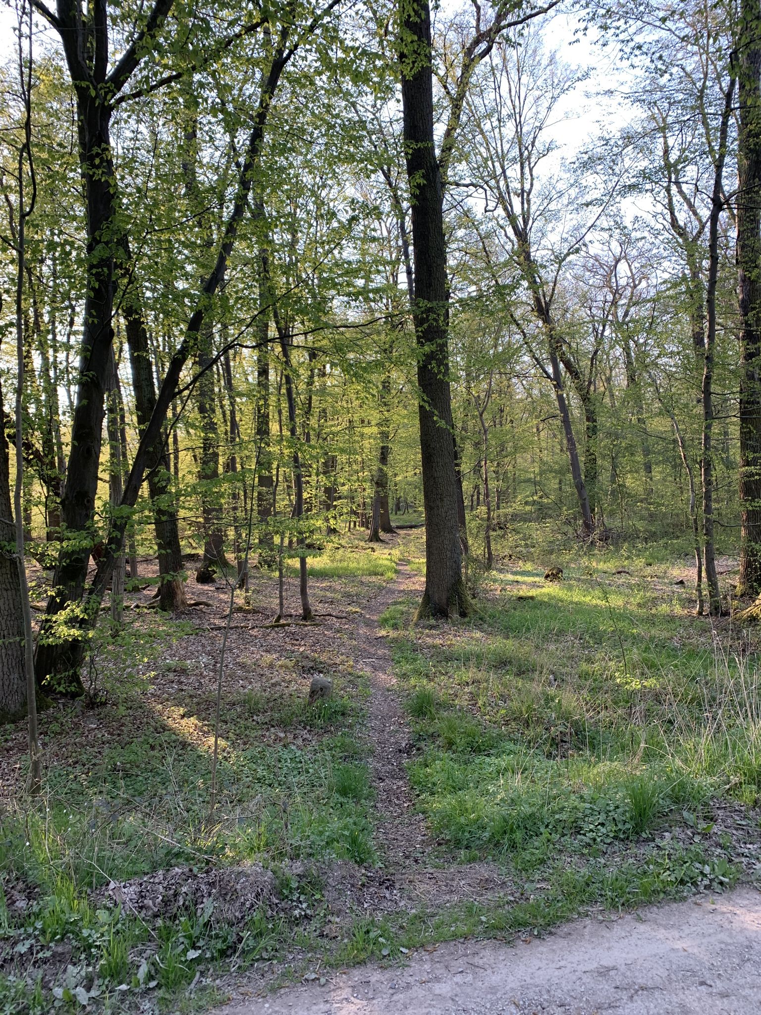 hier geht es los oder endet es ;-)