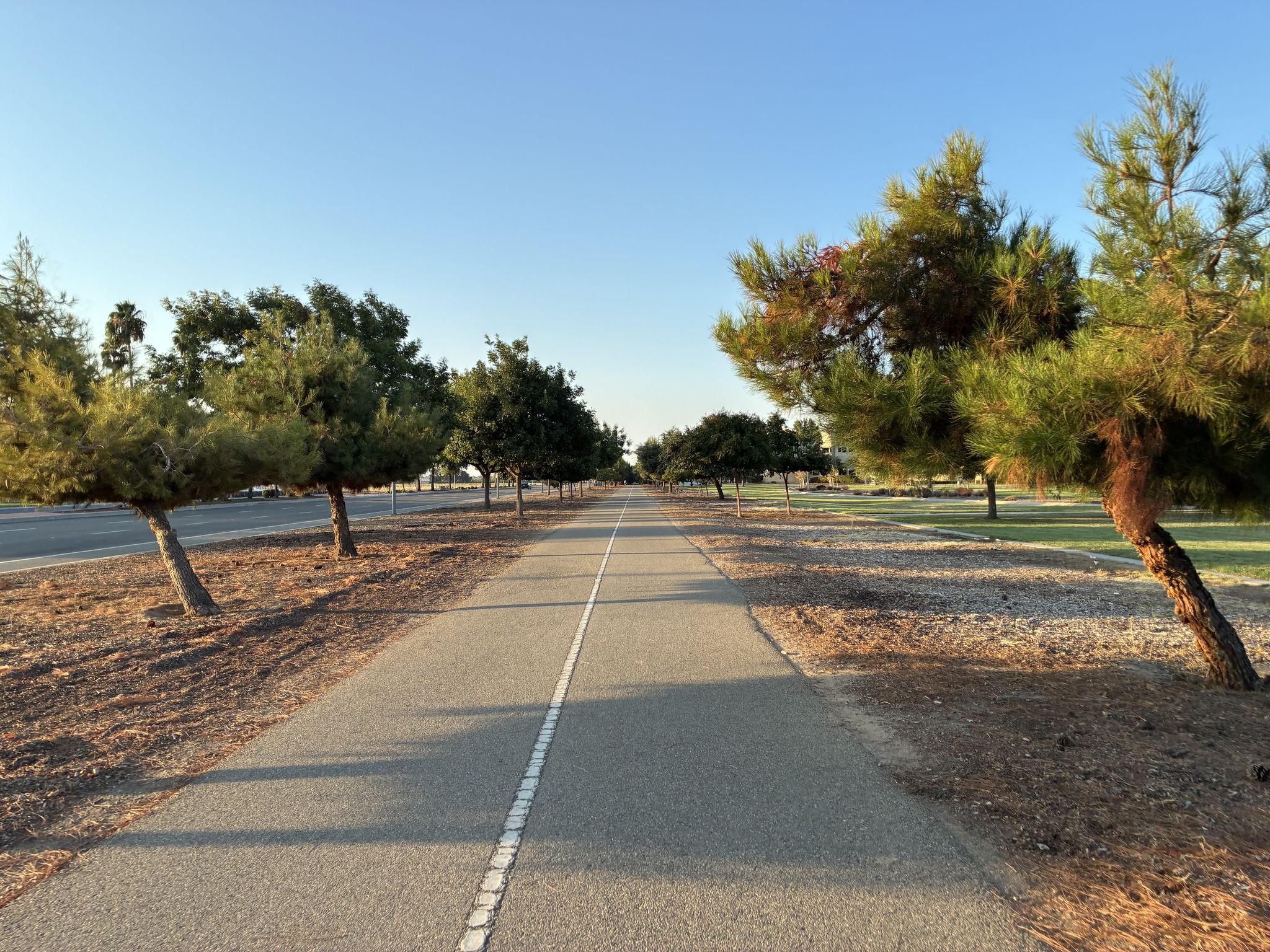 Paved path lined with trees and grass, bathed in golden hour light. - Fresno to Millerton Lake loop via Old Town Trail