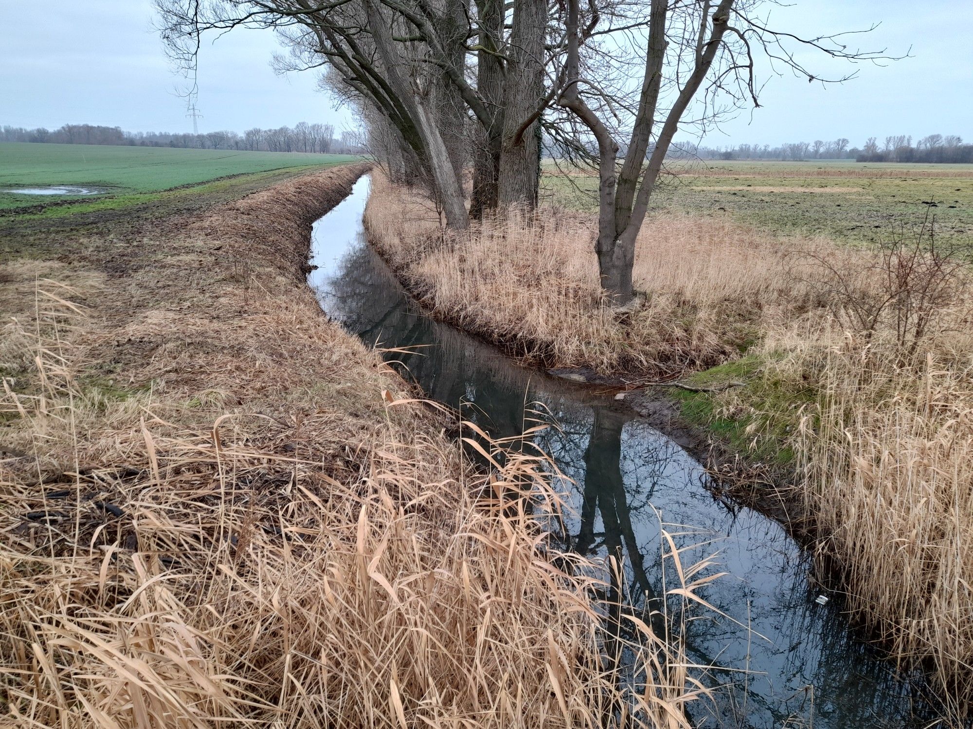 Der Strengbach