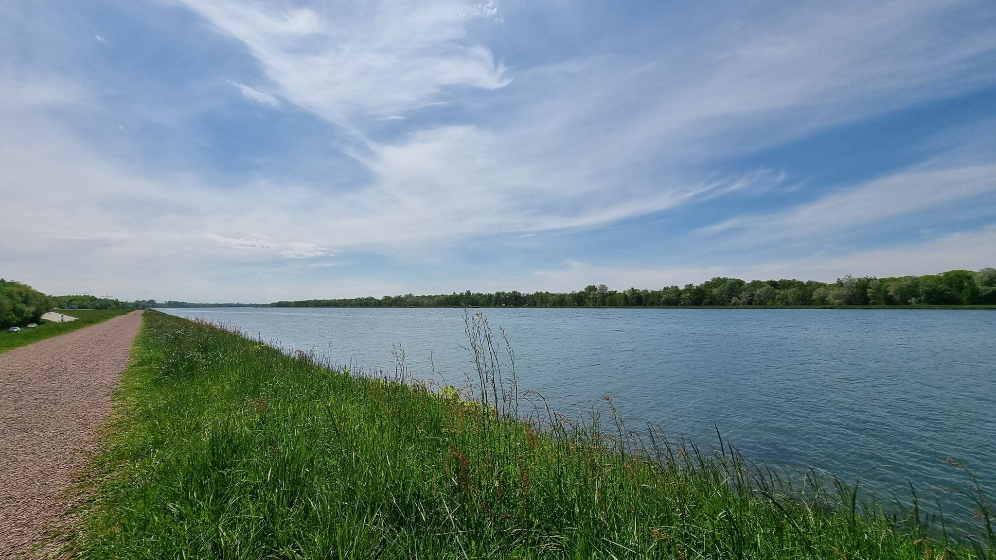 Der Rhein