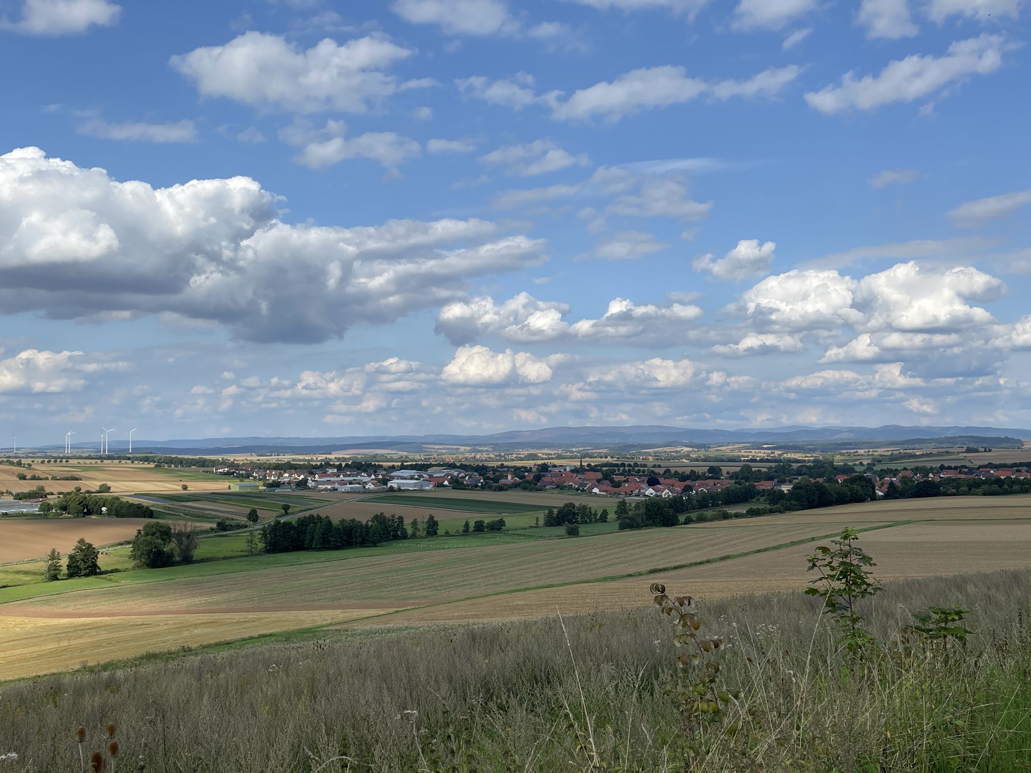 21.08.21: Seuligen von SW vor Oberharz