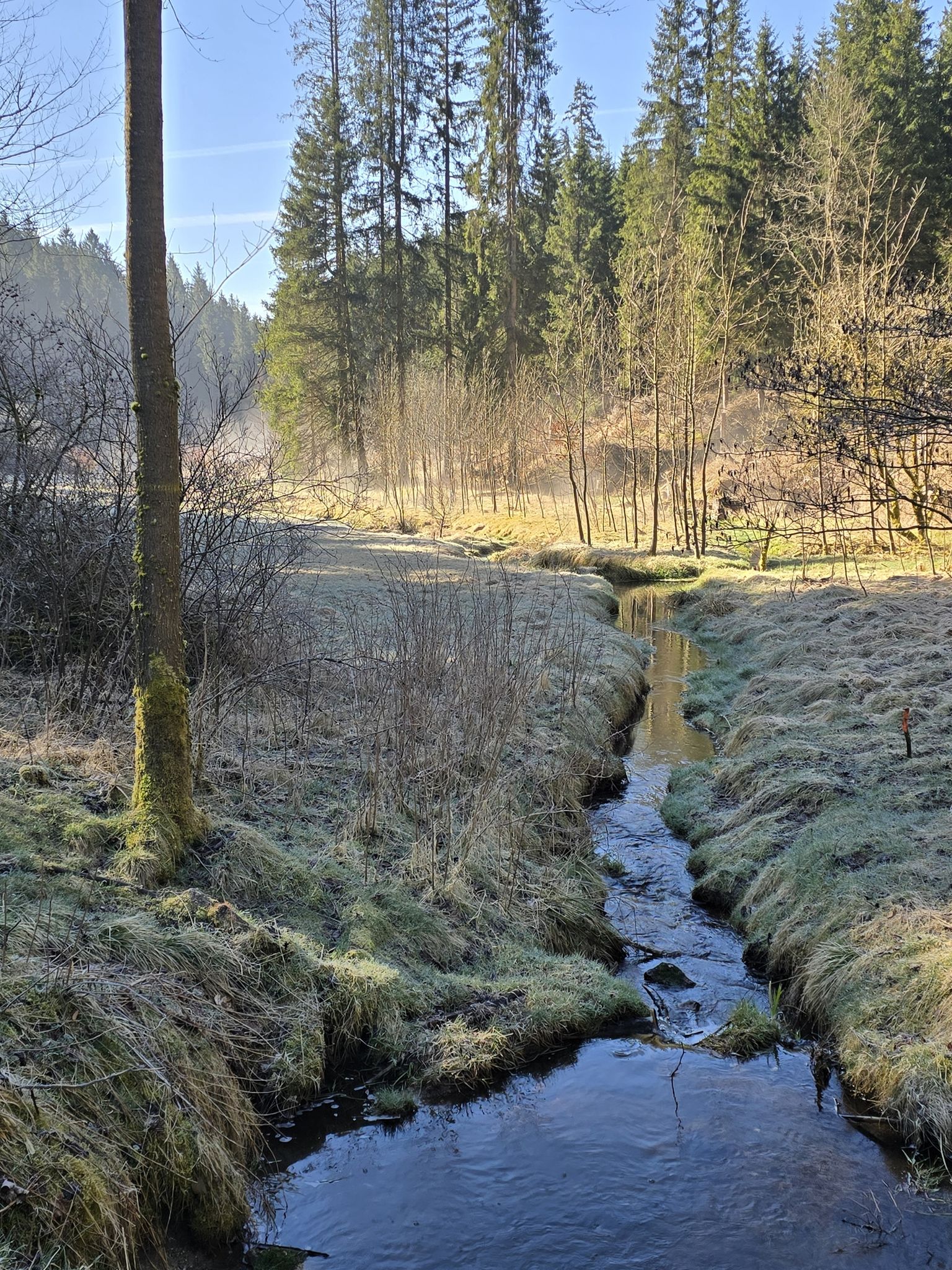Silberbachtal