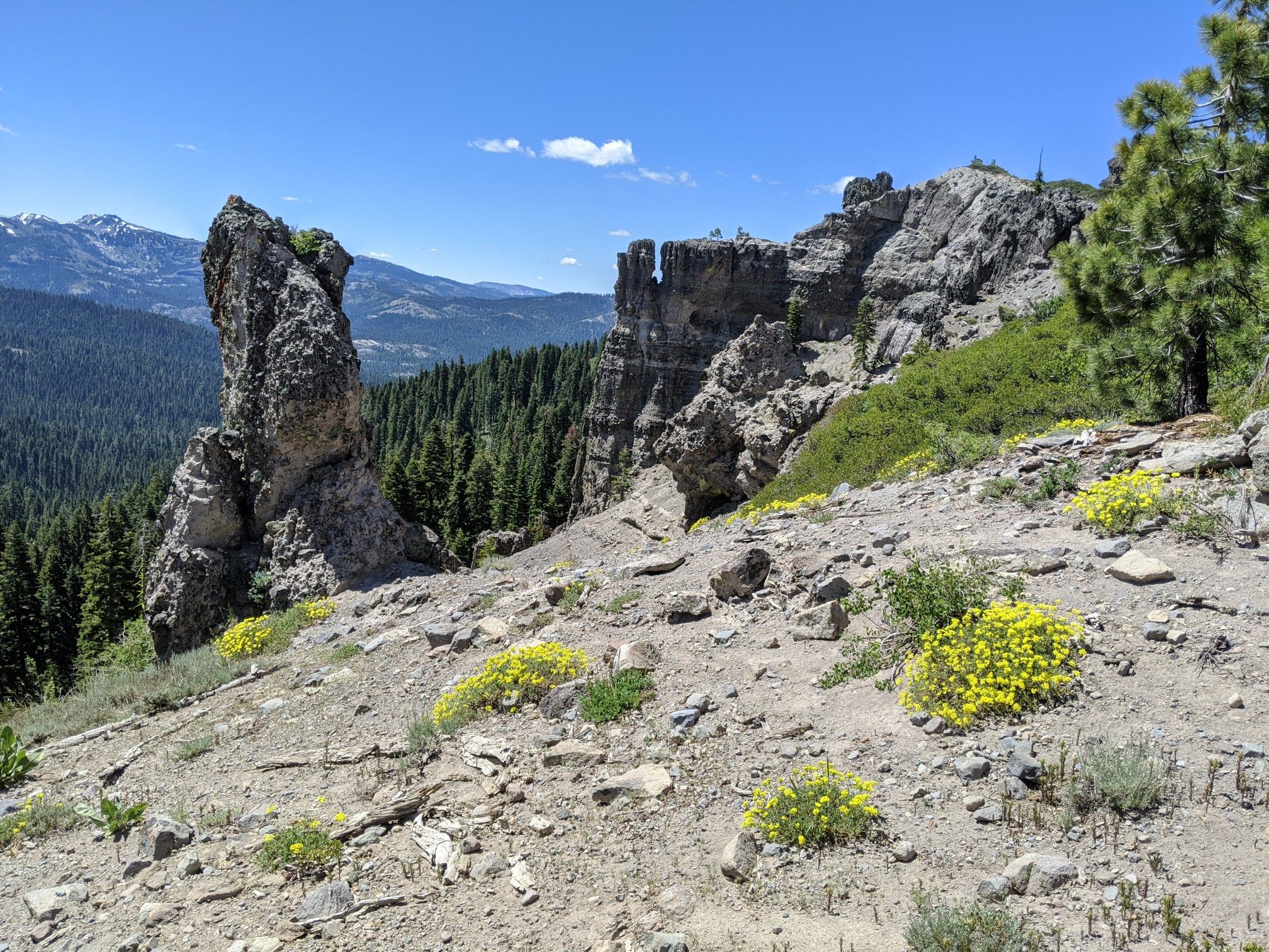 Dramatic rock formations on a sunny, rocky slope with yellow wildflowers. - Rowton Peak and Crow's Nest loop