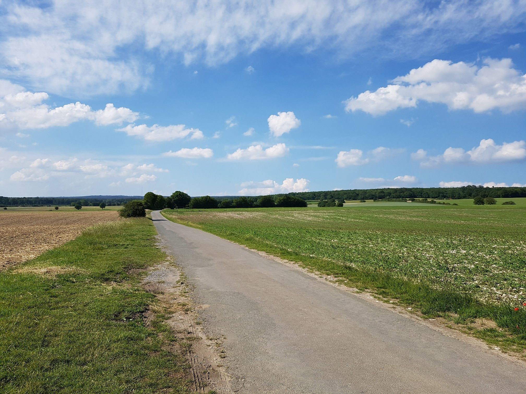 Blick auf den Teutoburger Wald 