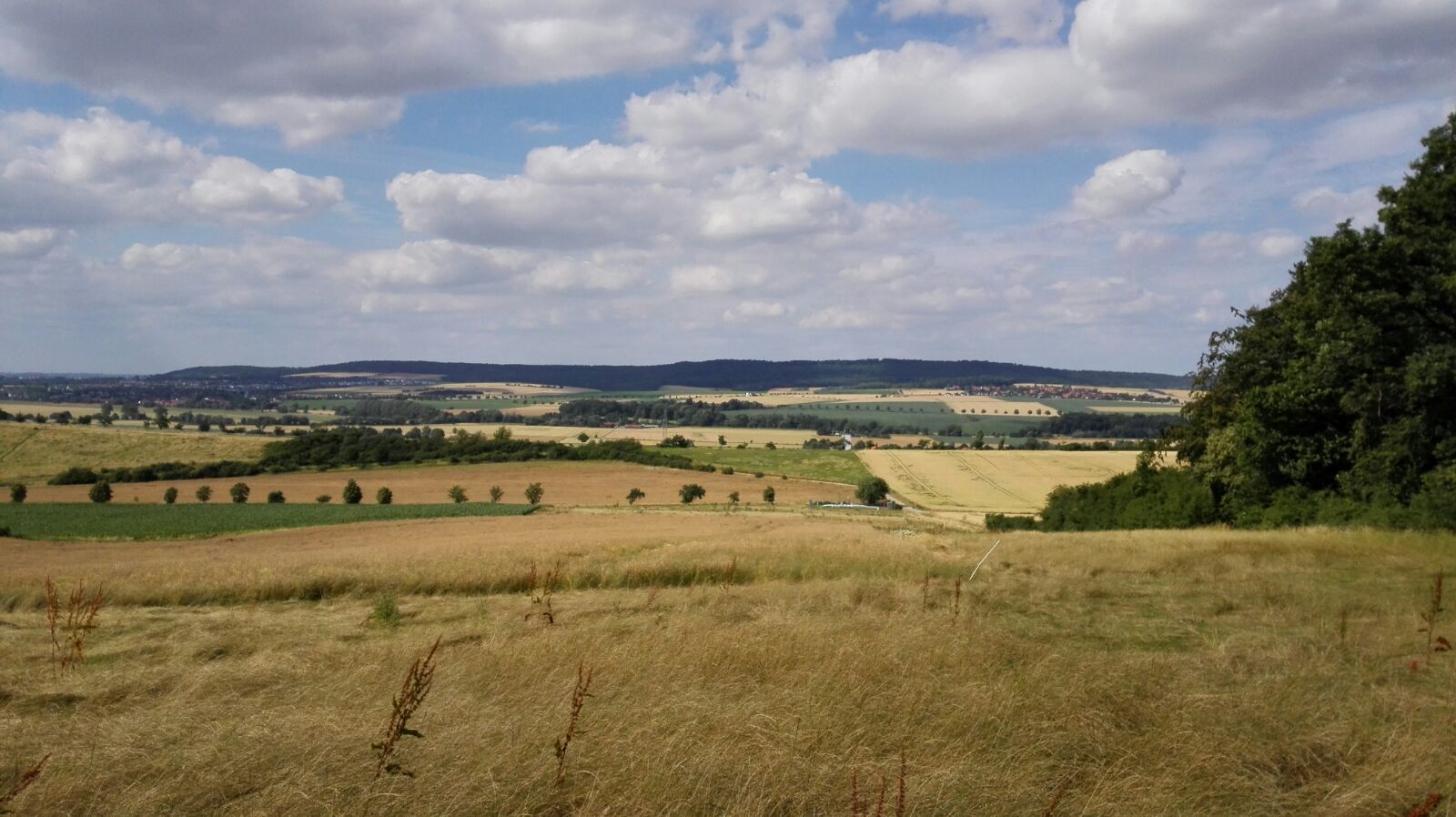 Schöner Blick auf Hildesheim