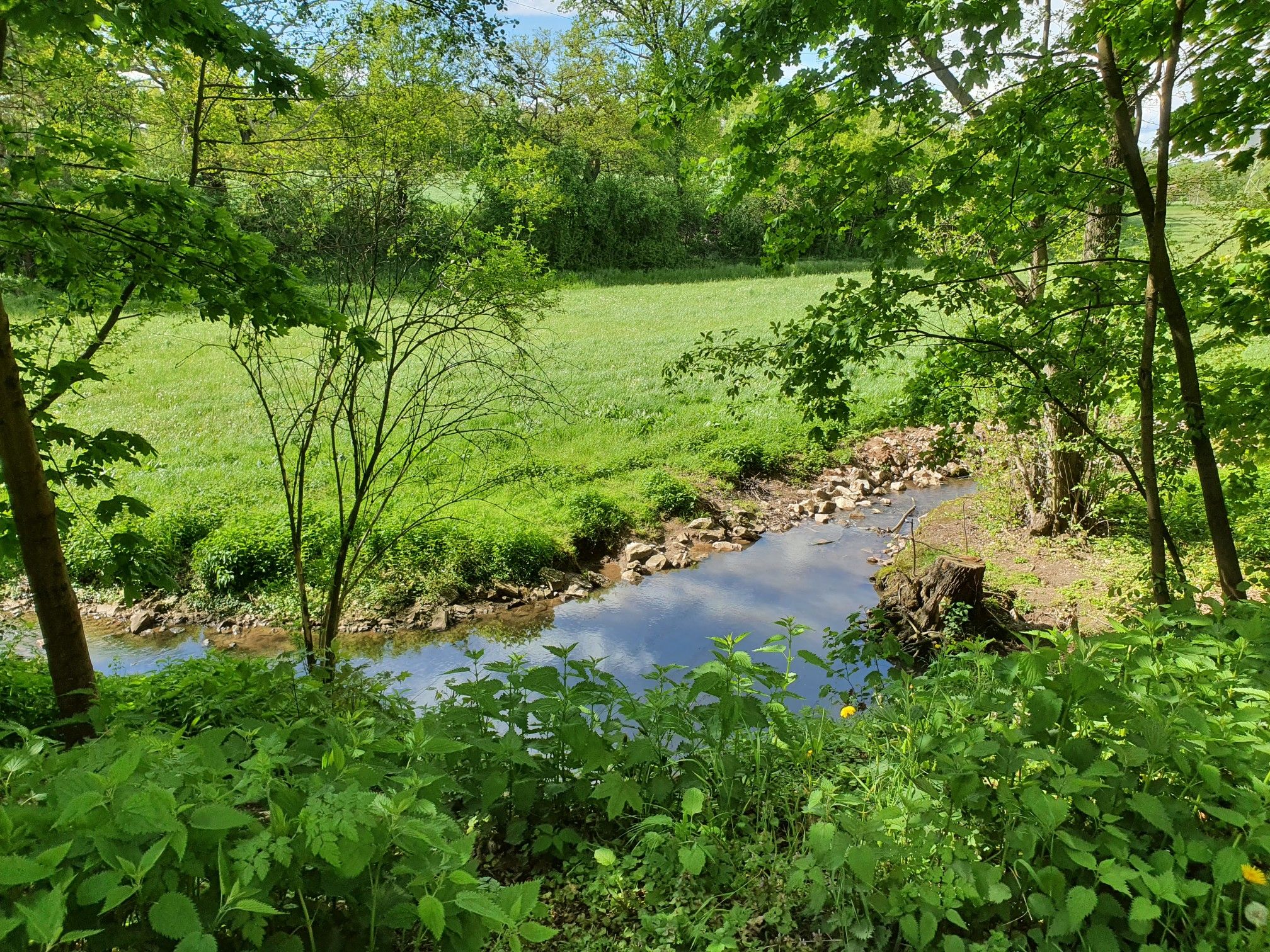Grundbach