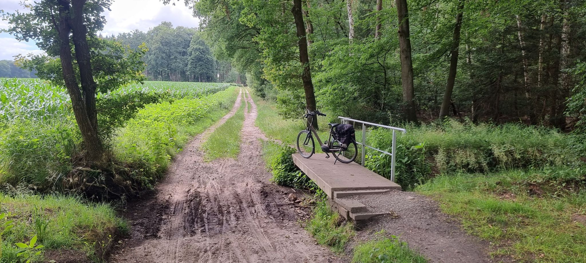 Bei Flut kommt man über die Brücke rüber 😅