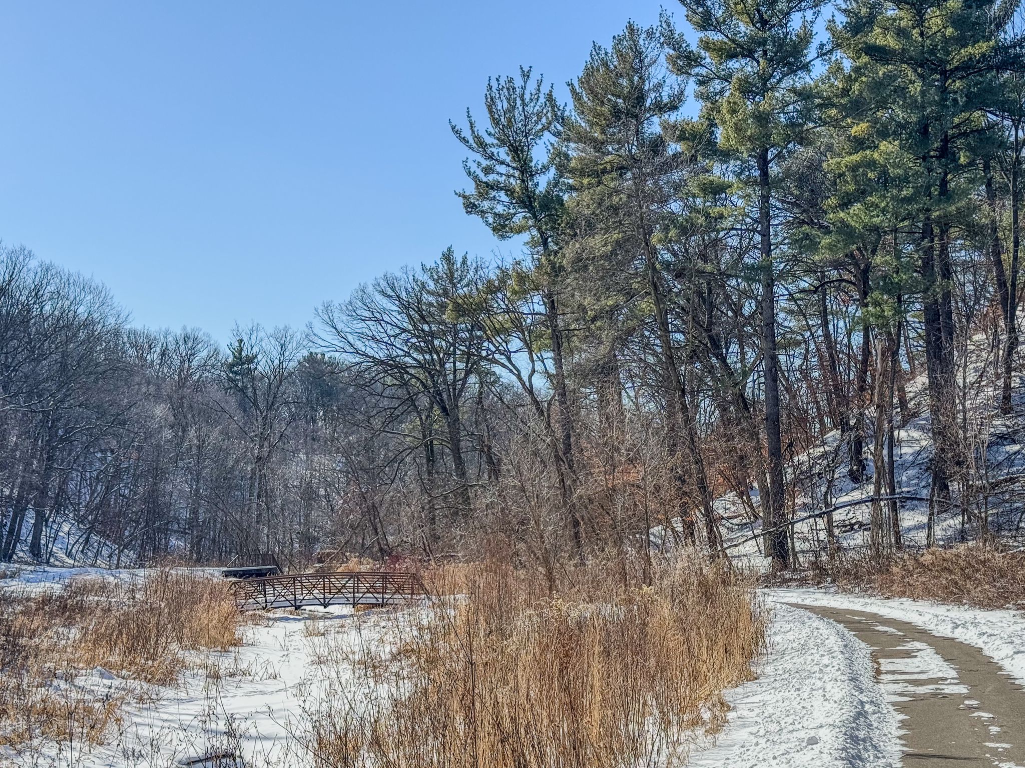 A snow-covered path leads to a small bridge in a winter forest. - Mountainbike loop from Ruth St