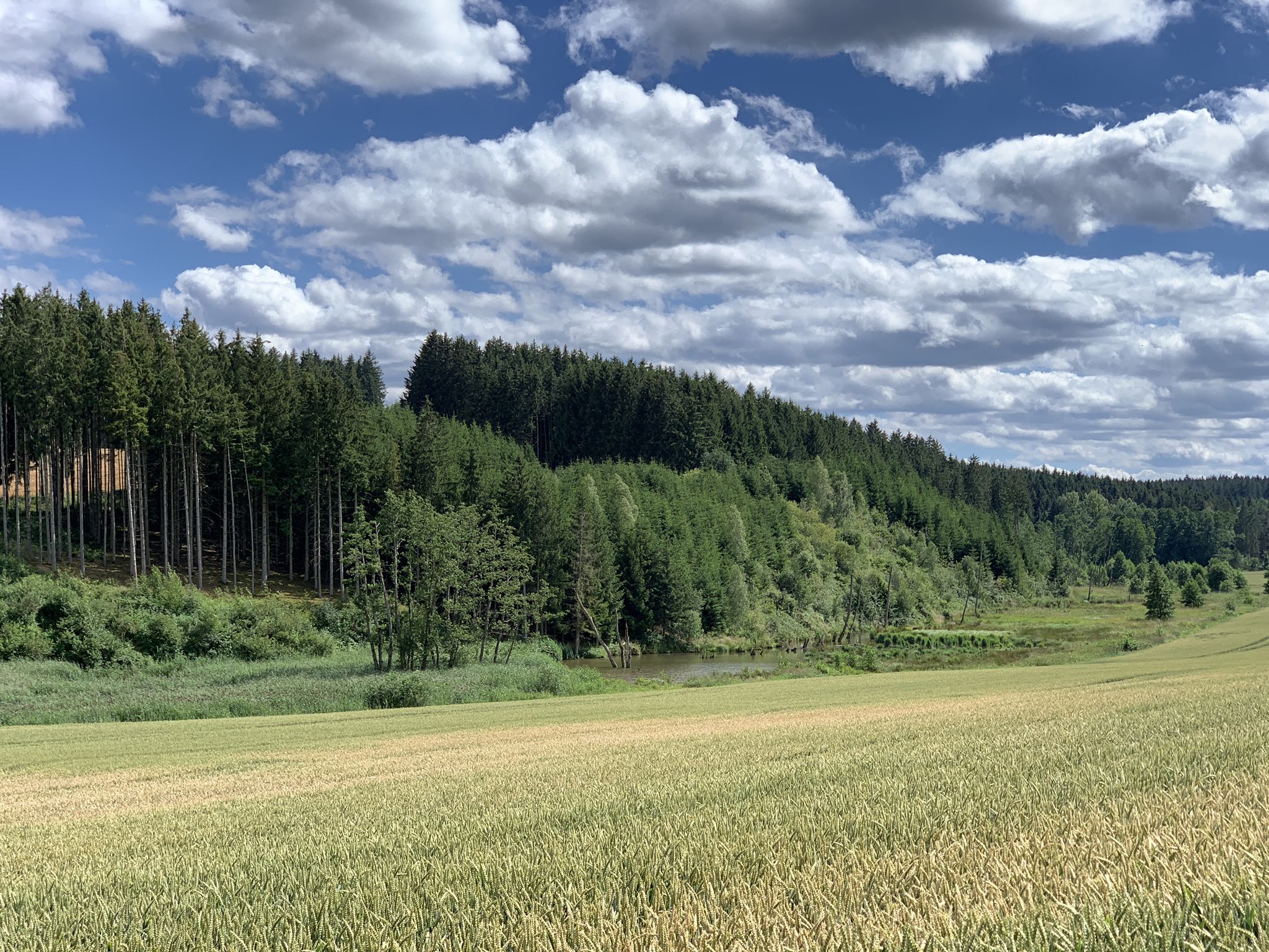 Reizvolle Landschaft bei Feigenhofen