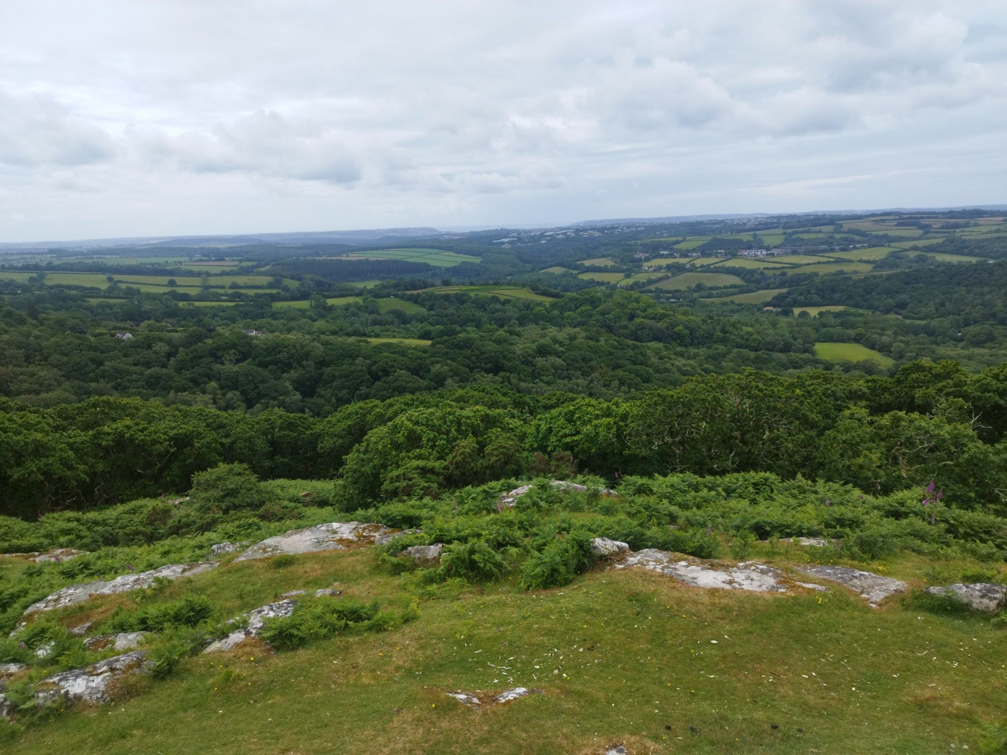 View from Dewerstone Rock