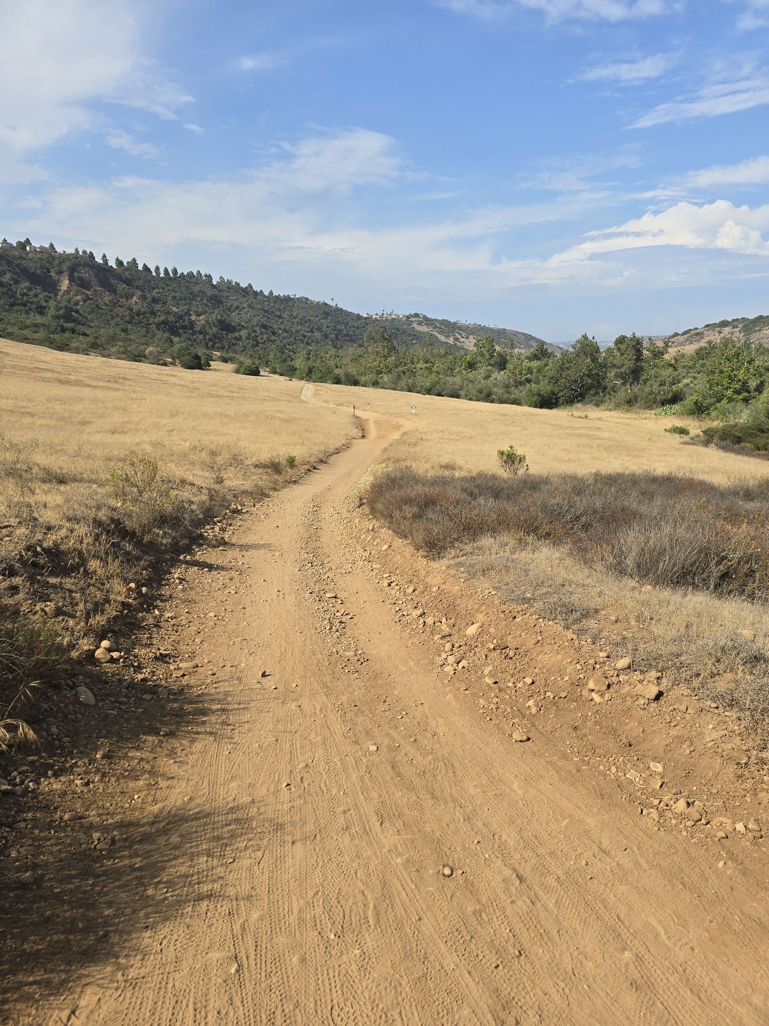 A winding dirt road through golden fields and green hills under a blue sky. - Los Peñasquitos & Carmel Mountain Preserves loop