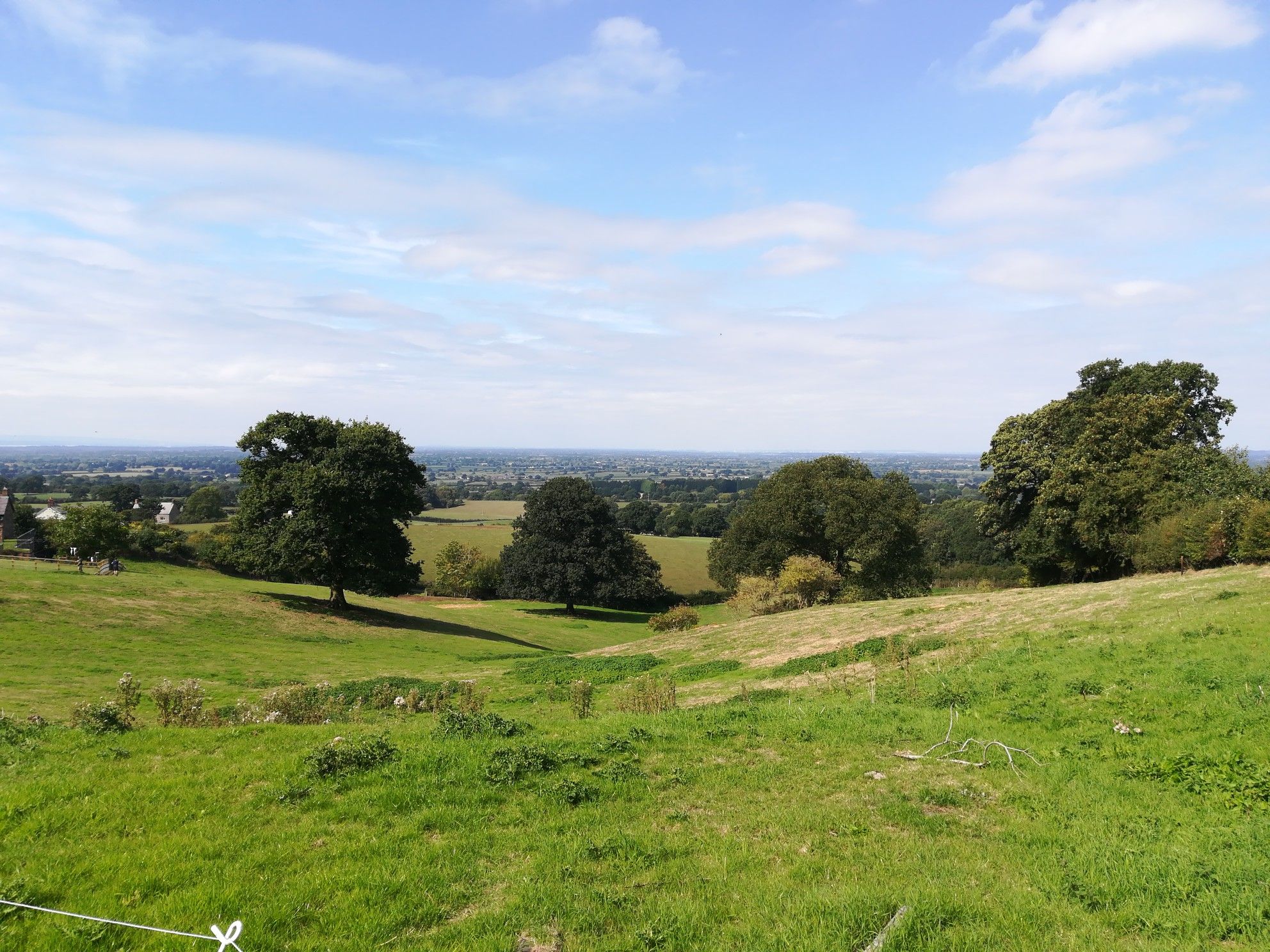 Cheshire Plain from Pheasant Inn