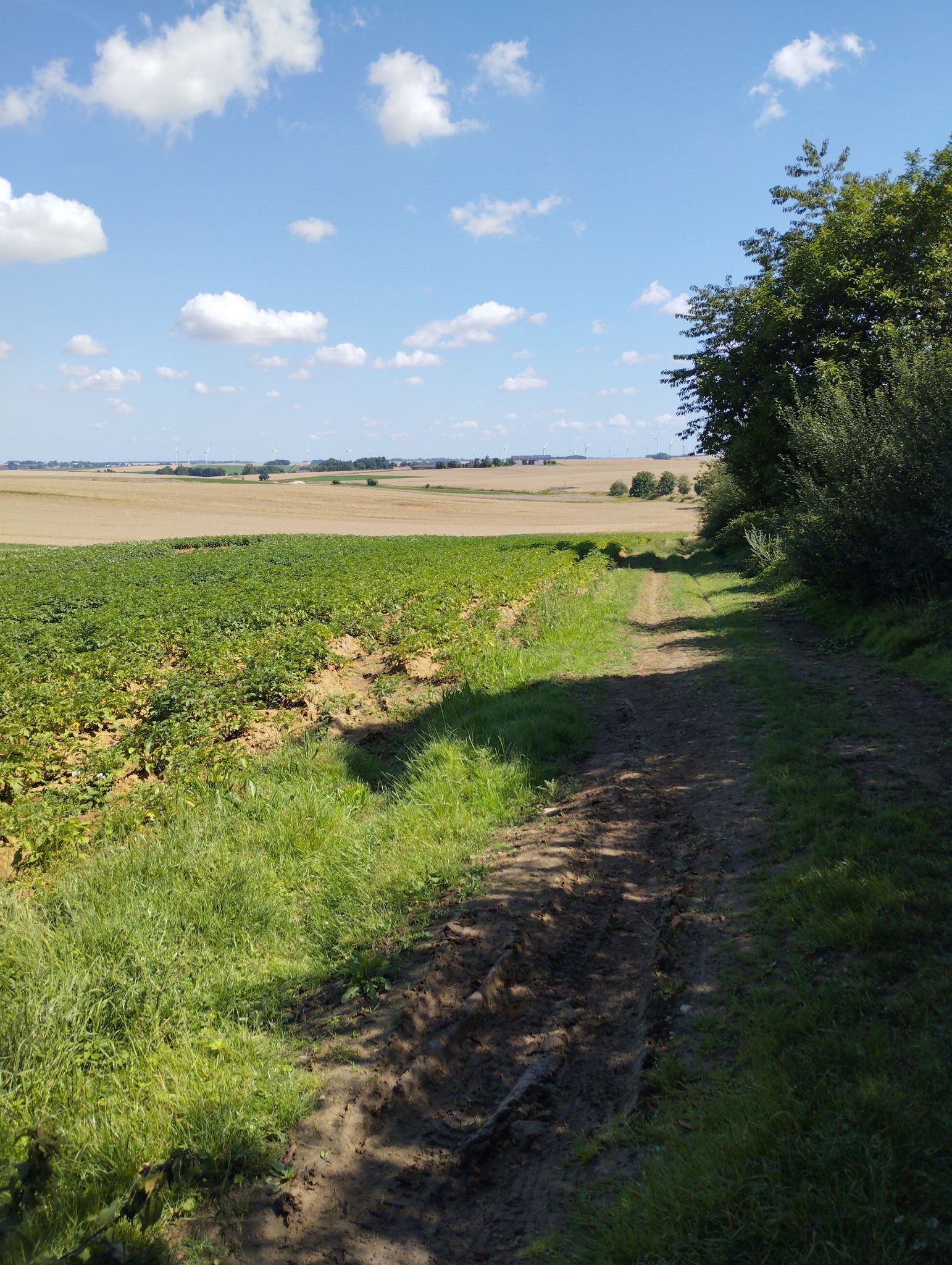 vue sur le trajet