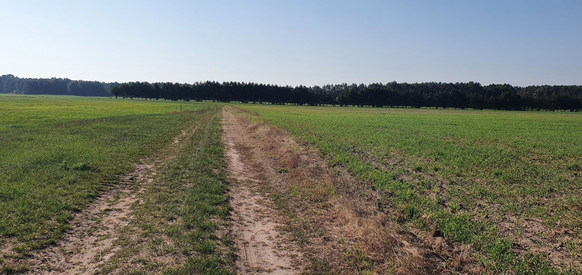 Schöner ruhiger Feldweg