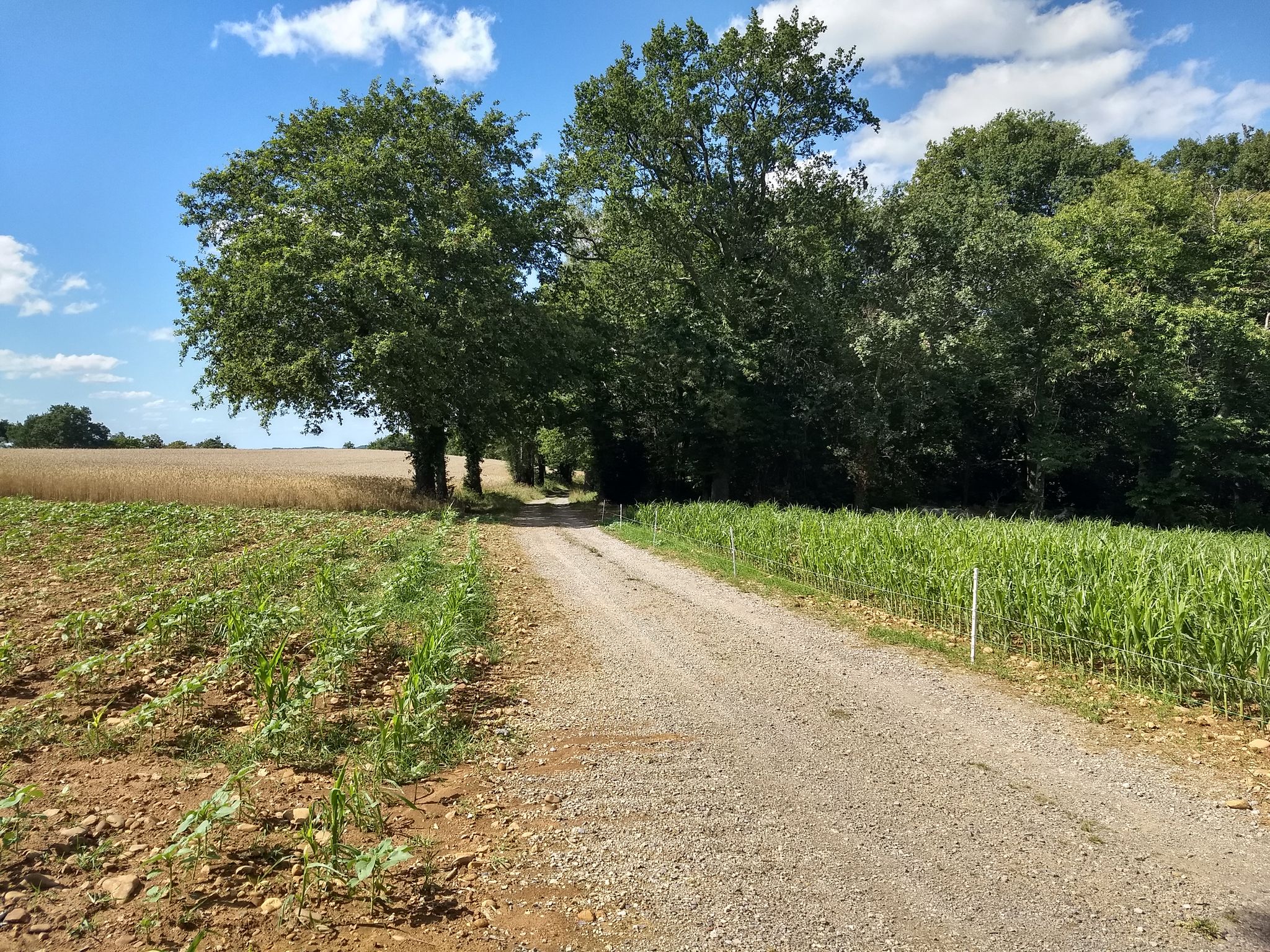 C'est encore loin Bordeaux ?