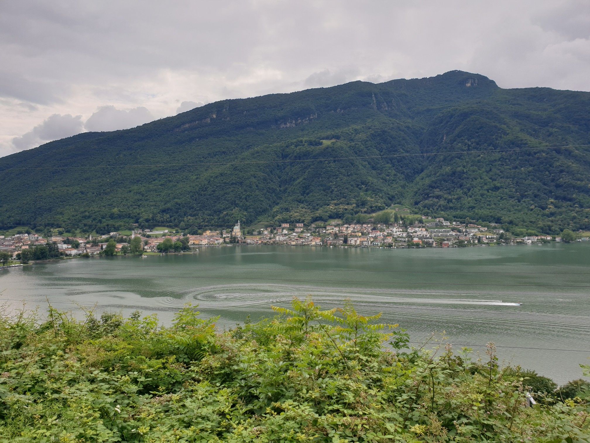 Riva Sanvitale