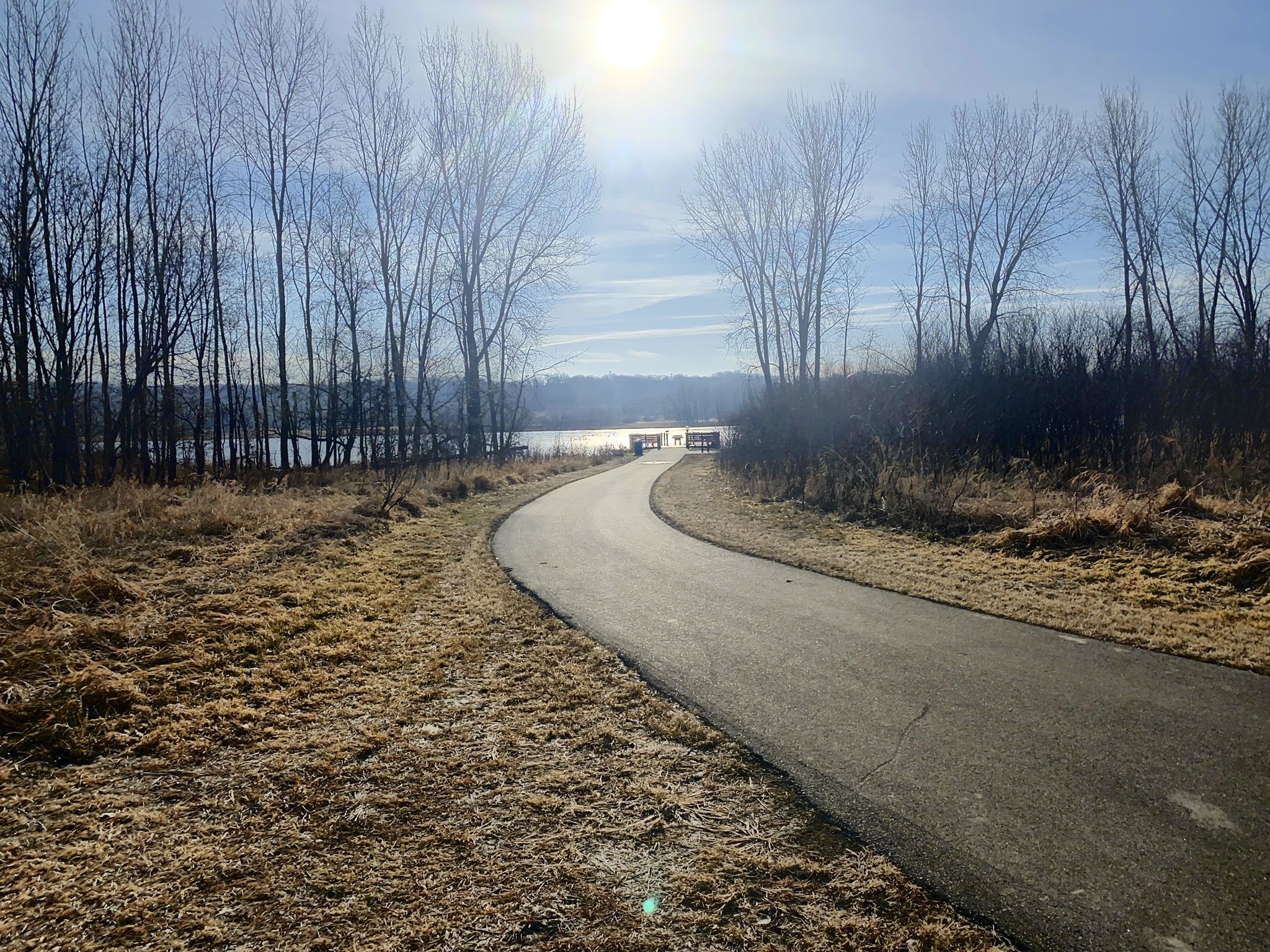 Paved path curving towards a sunny lake with bare trees. - Minnesota River Greenway