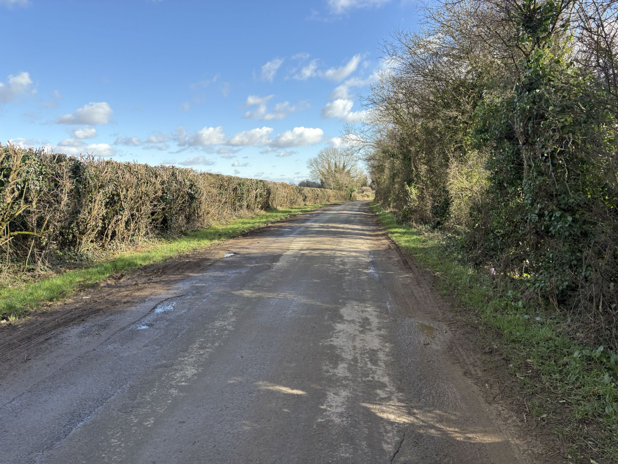 Along the lane