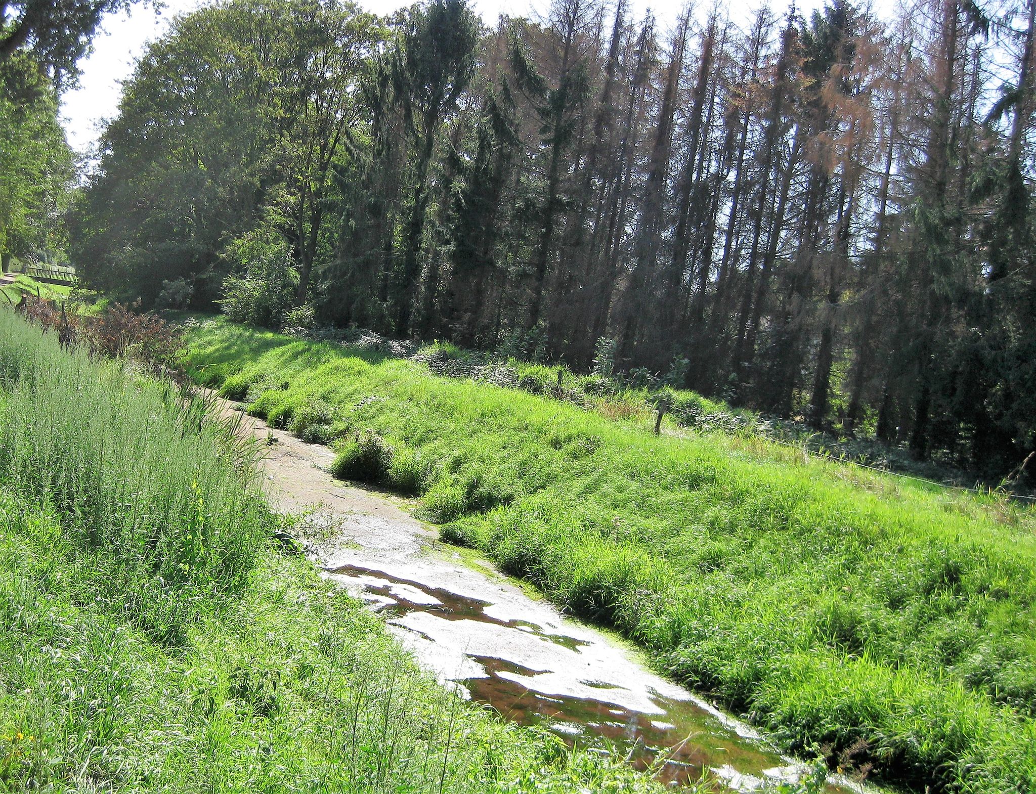 Flussbett ausgetrocknet