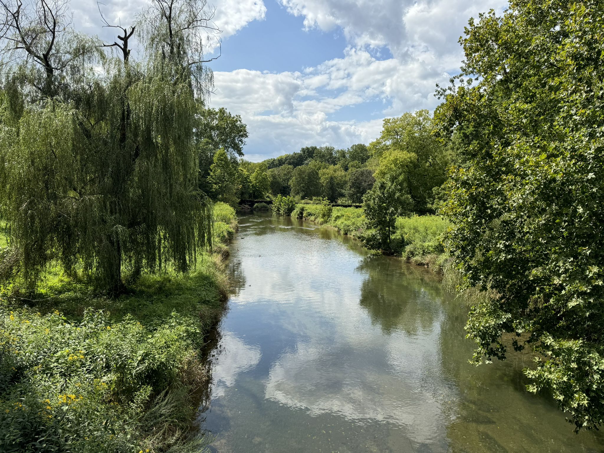 A calm river reflects a cloudy sky, surrounded by lush green trees. - Sherwood Forest, Bones, and North Side Path Trail Loop