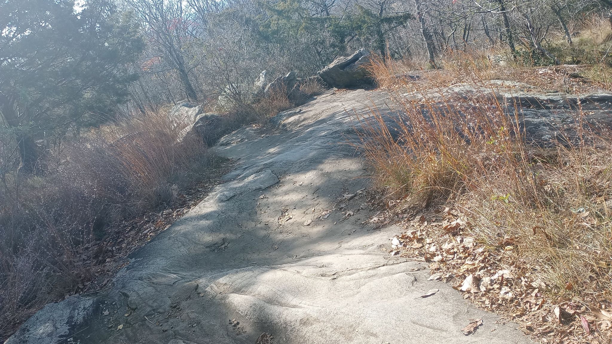 Rocky dirt path through dry grass and trees on a sunny day. - Pigeon Hill – Kennesaw Mountain Summit loop from Kennesaw Mountain