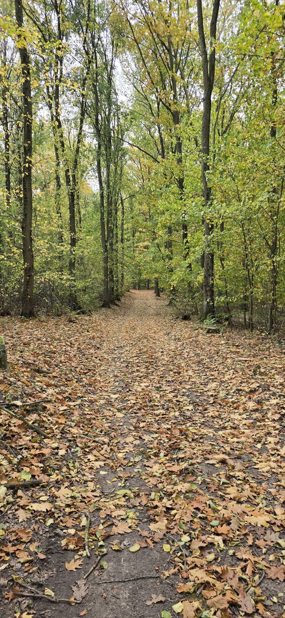 Weg