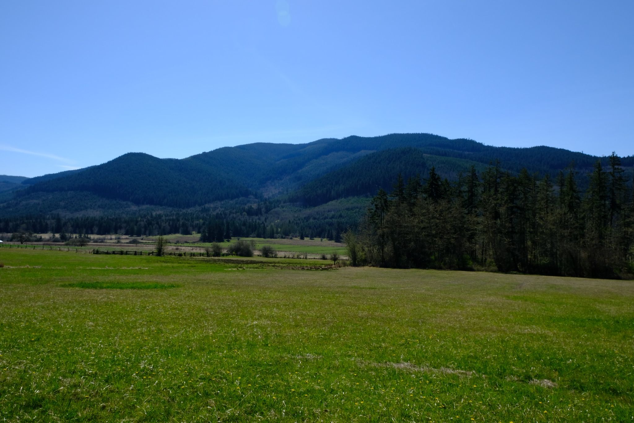 Vast green field with a dark forested mountain range under a clear blue sky. - Bon Jon Pass Road