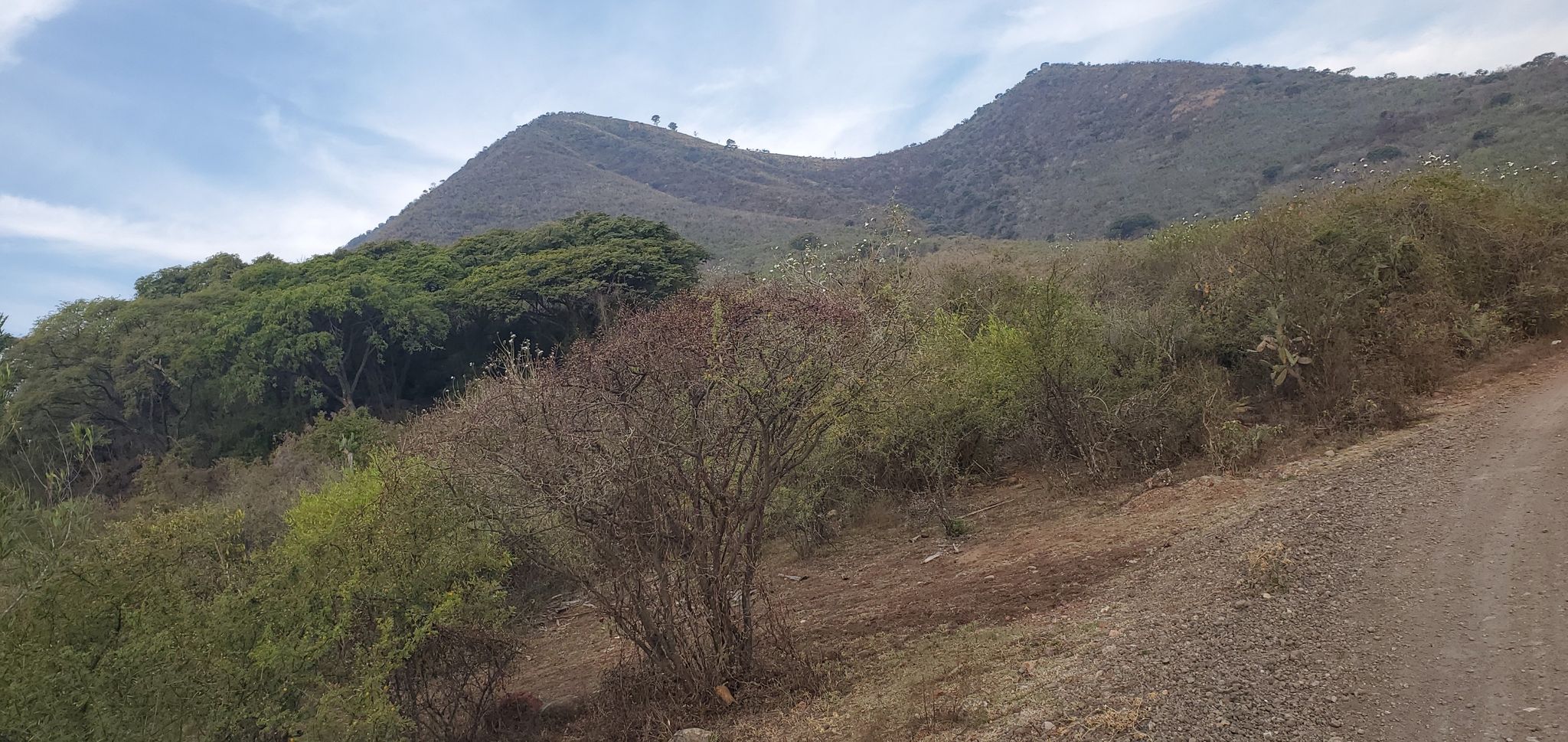 lugares nuevos