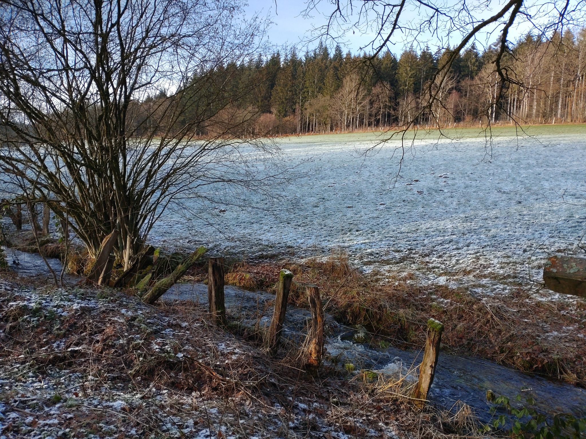 Am Ende sag ich's ohne Grimm / Der Schmerz war nicht mal halb so schlimm