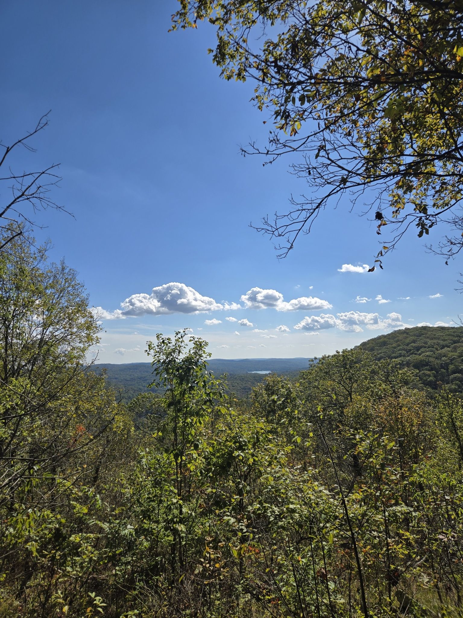 Sunny overlook of a vast forested valley under a blue sky with clouds. - Michael Ciaiola Conservation Area Trail