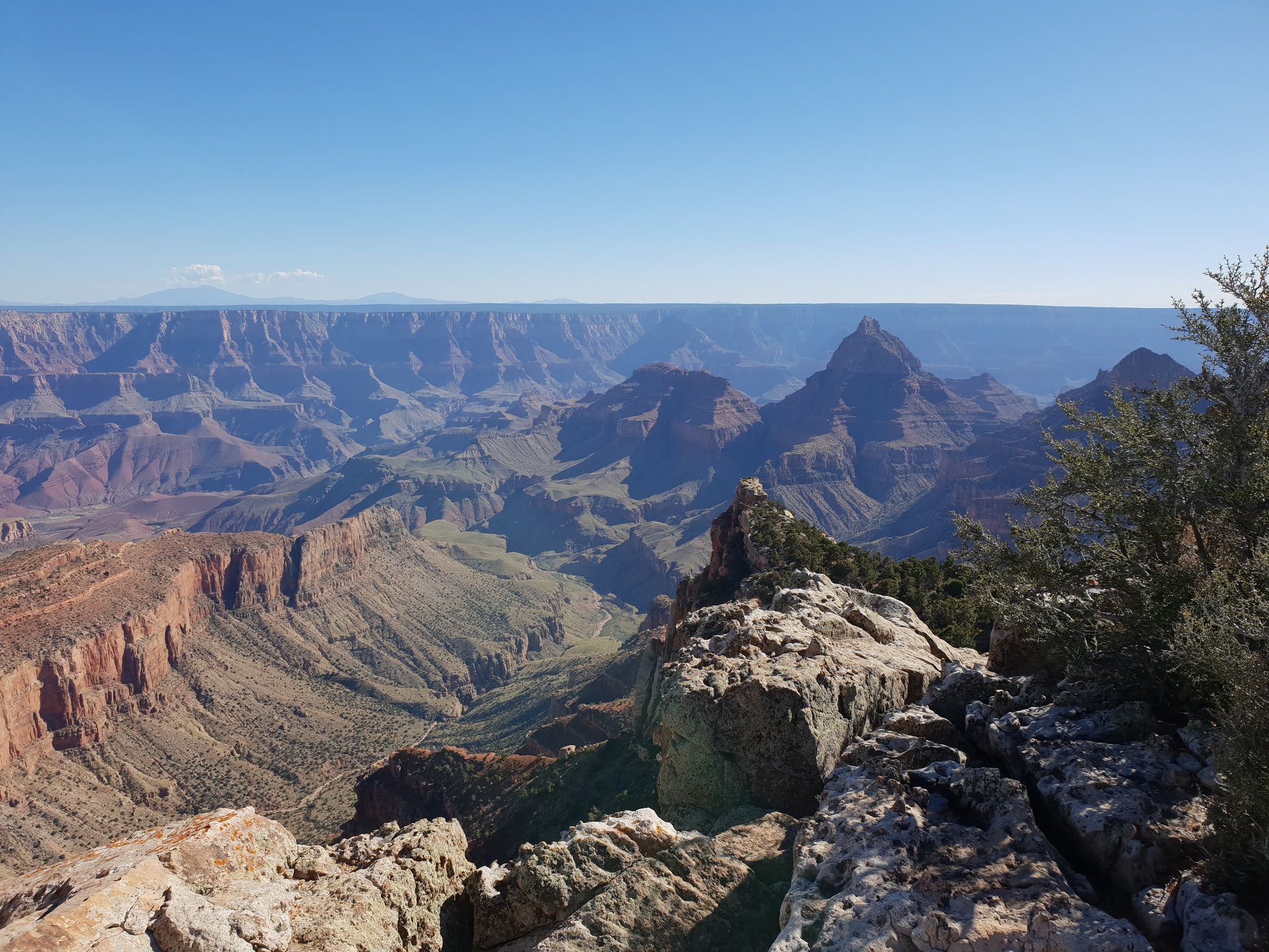 Expansive canyon view from a rocky overlook under clear blue sky. - Cape Final Trail