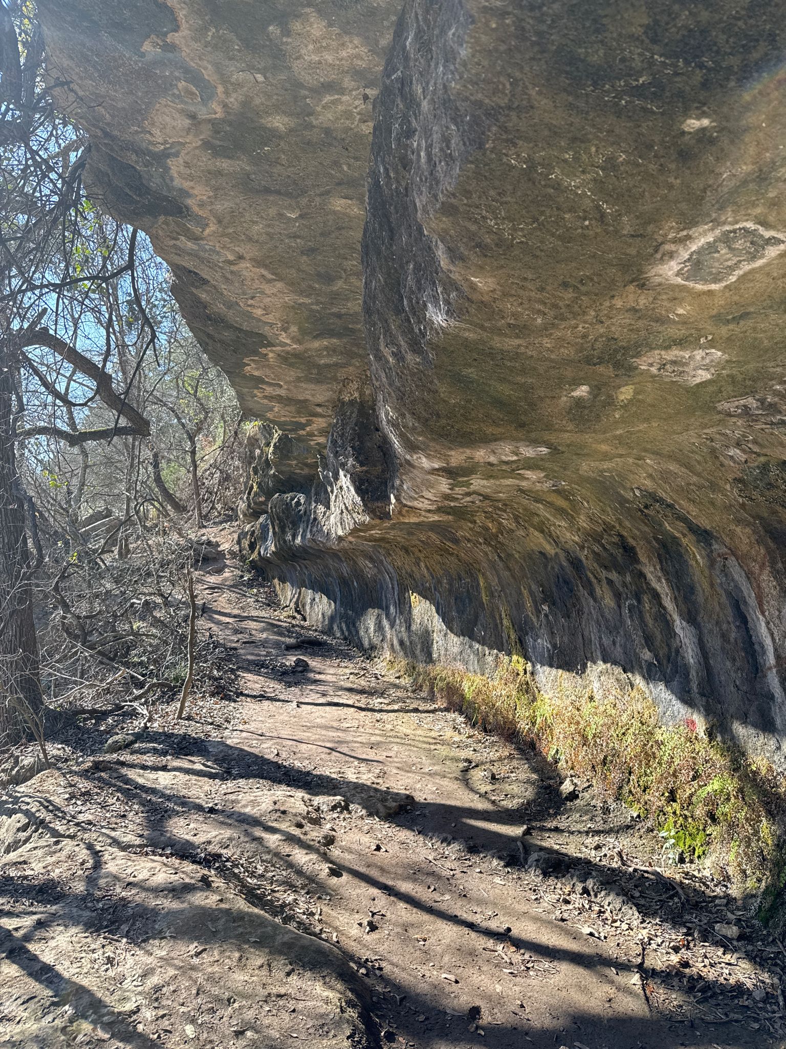 A sunlit dirt path under a large, dark overhanging rock formation. - Bull Creek Greenbelt Trail