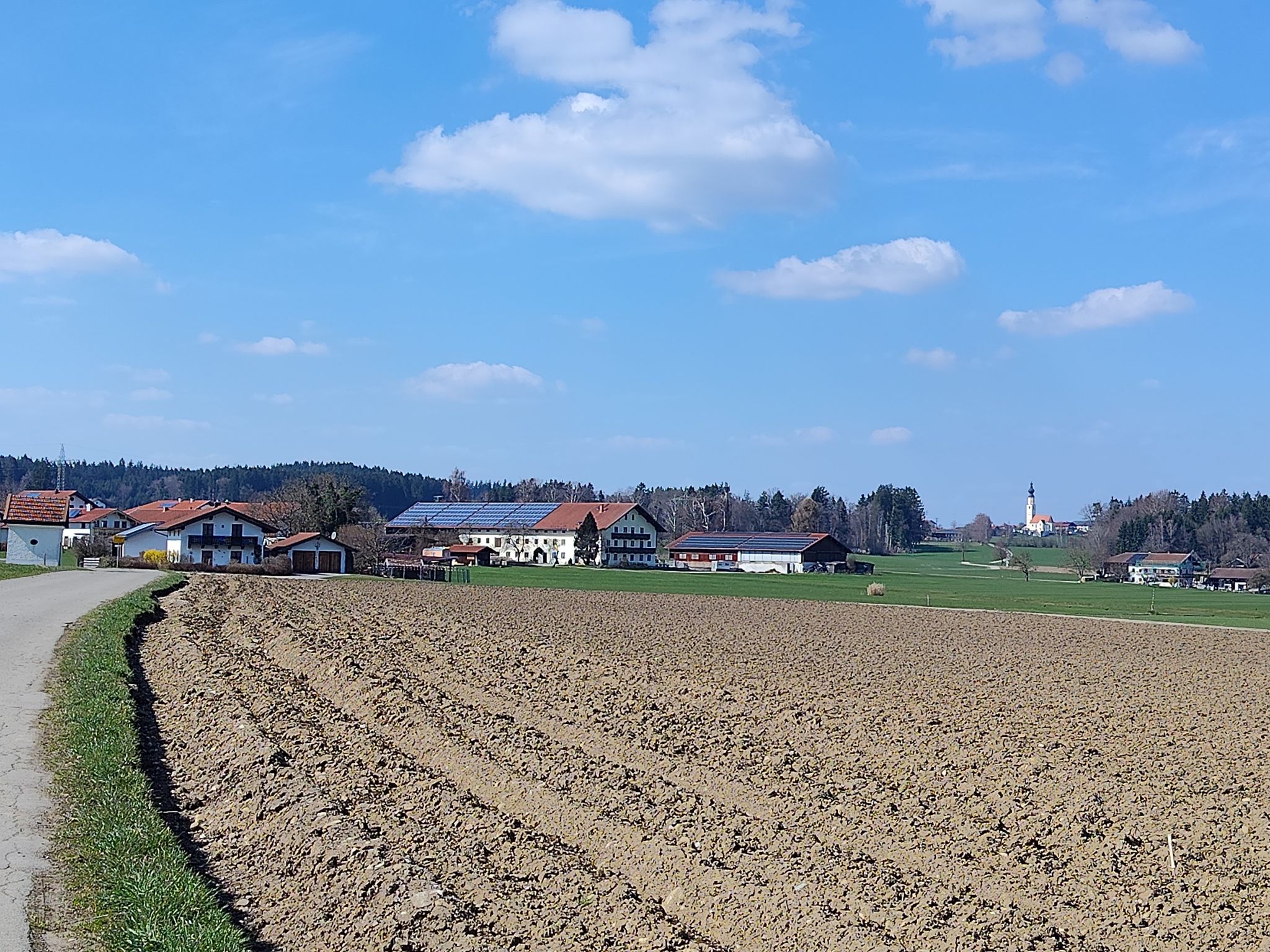 Albertaich