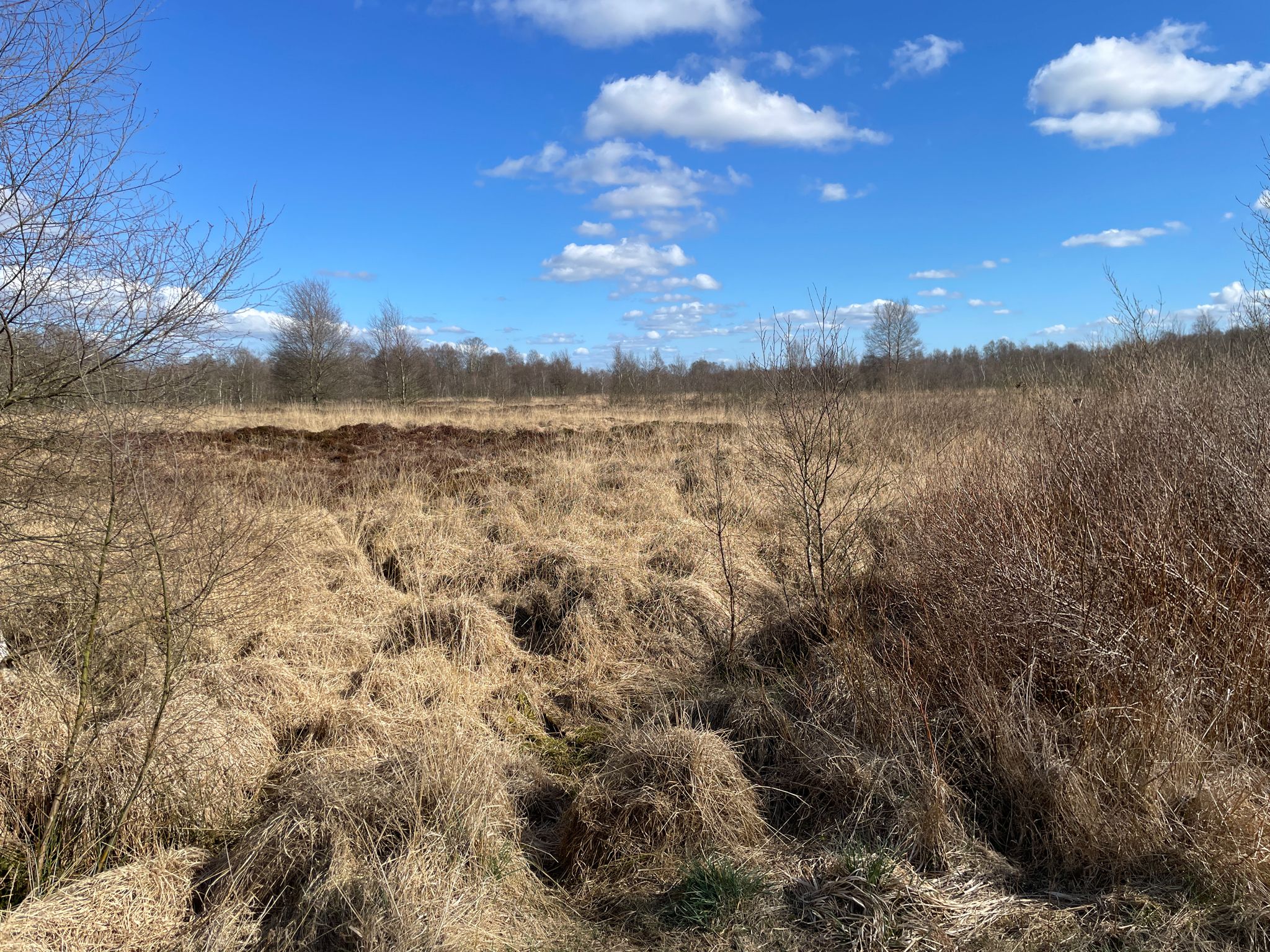 Owschlager Moor
