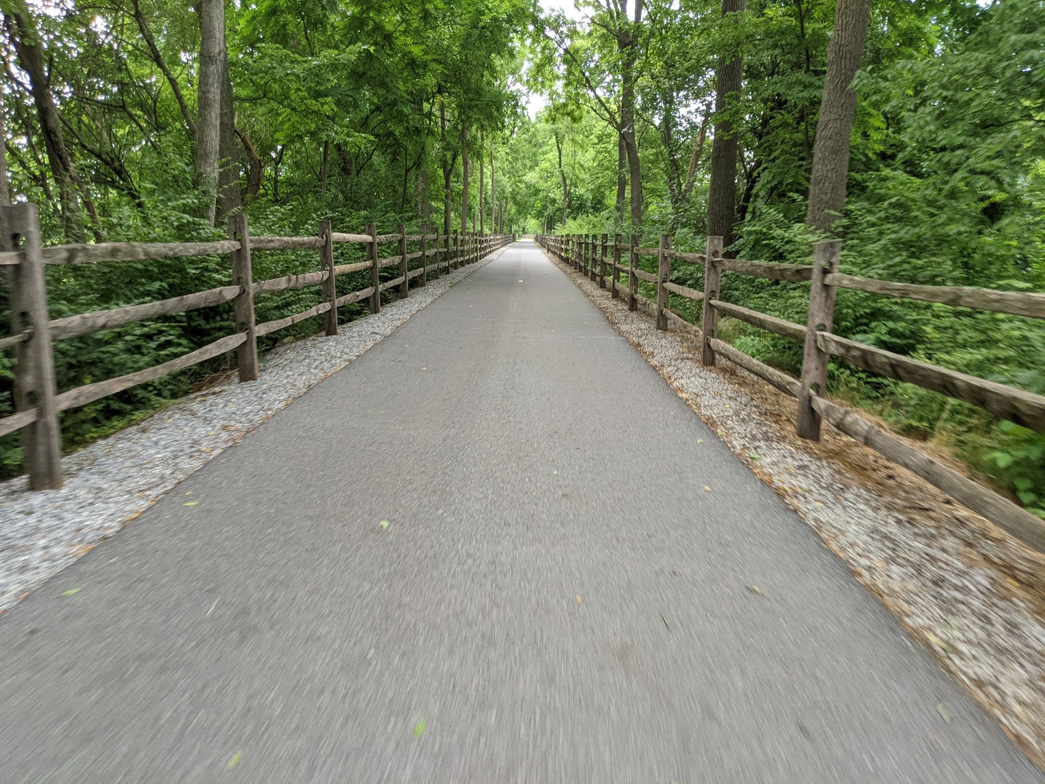 A paved path lined with wooden fences leads through a dense green forest. - Warwick to Ephrata Rail Trail