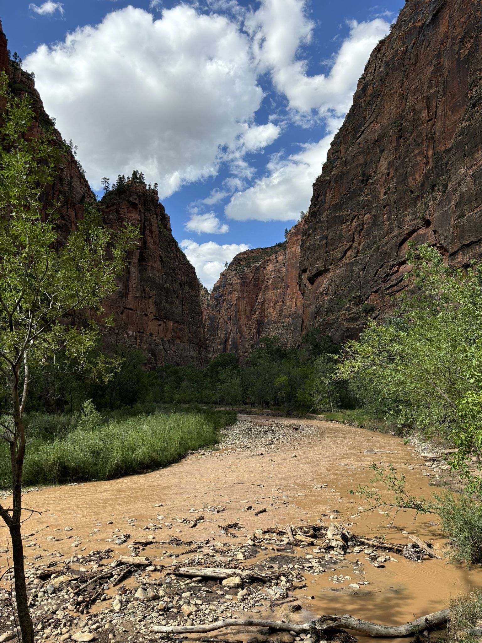 Wide canyon with red rock walls, dry riverbed, green foliage, and cloudy sky. - The Narrows: Bottom-Up Day Hike
