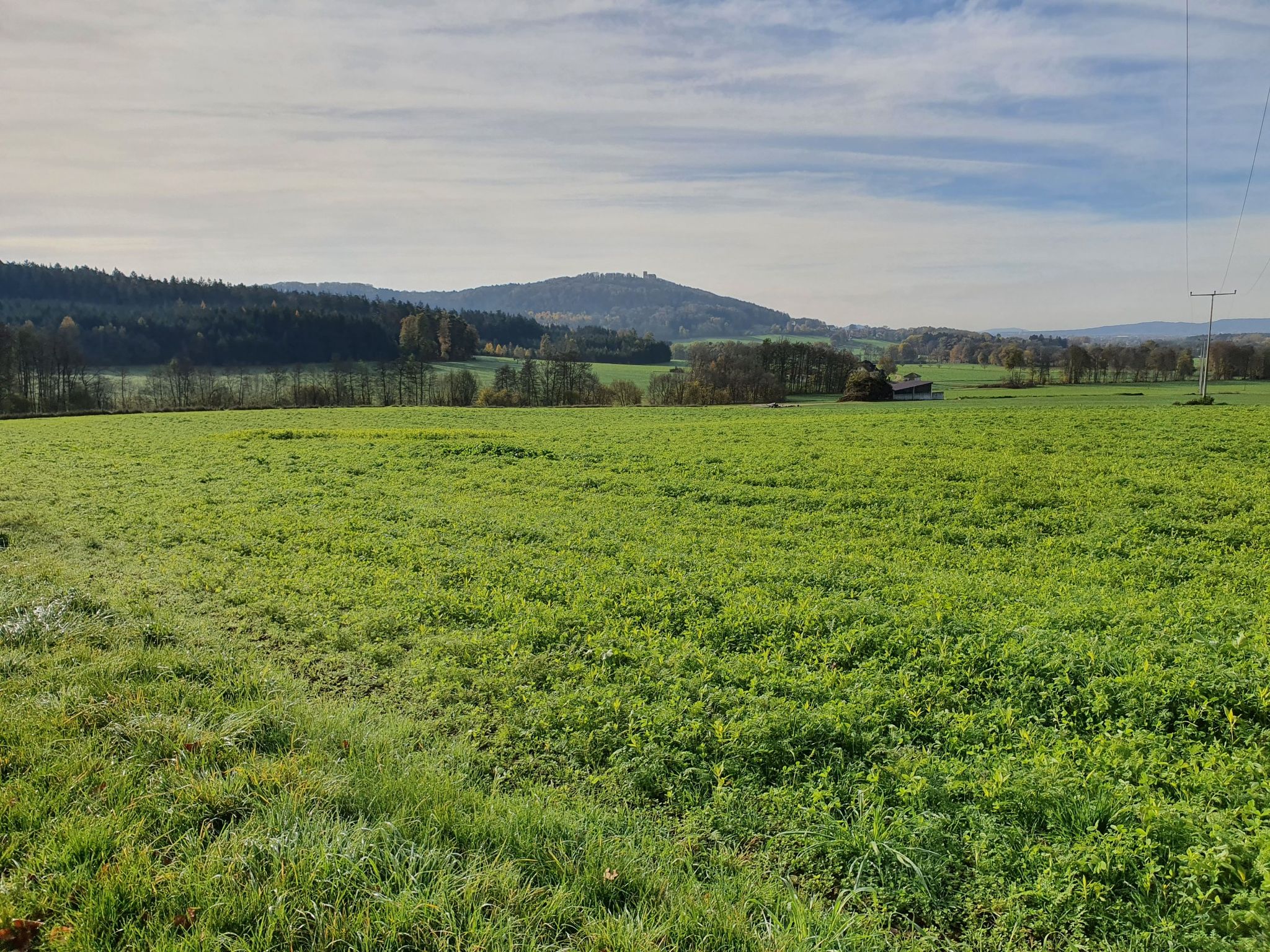 Blick zur Burgruine Wolfstein