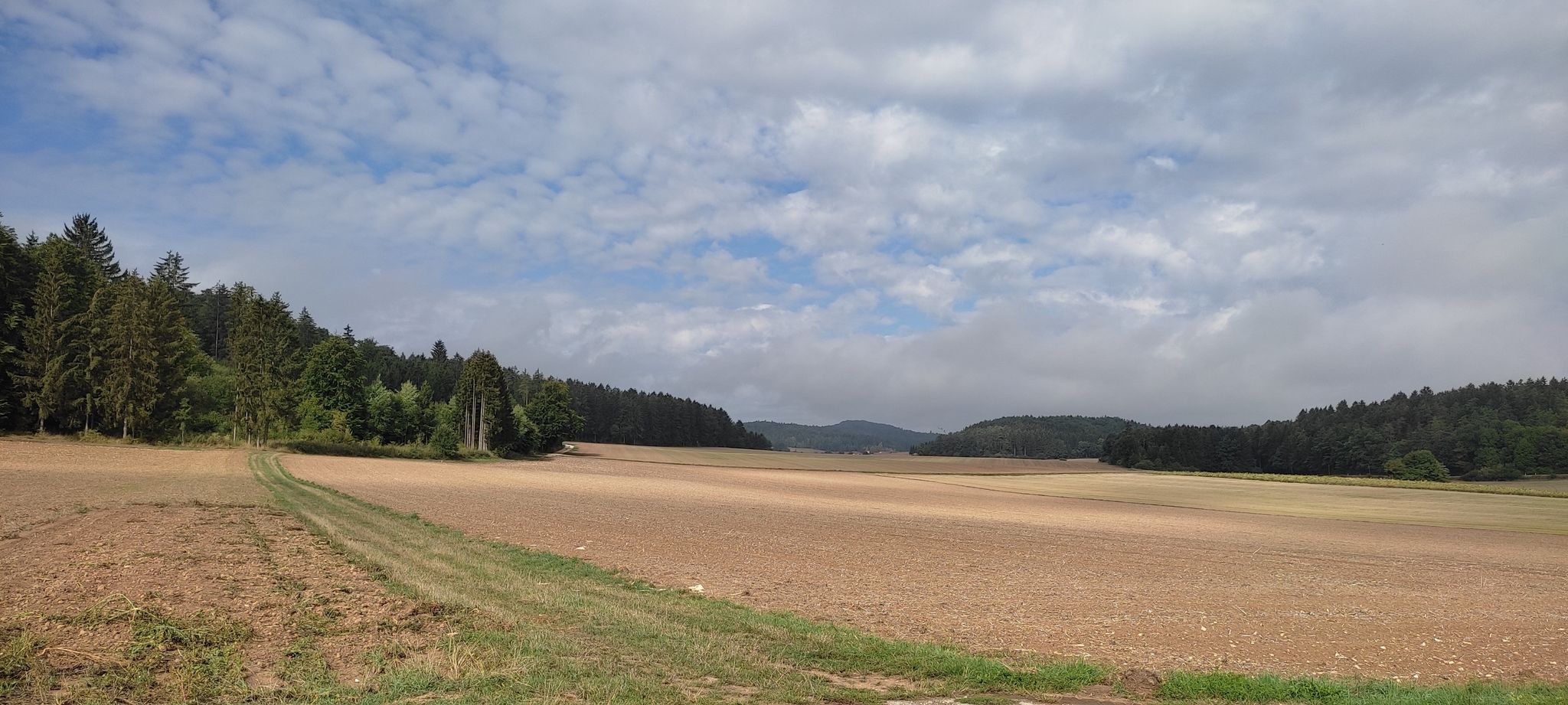 Ausblick zw. Thürsnacht u. Engelsberg