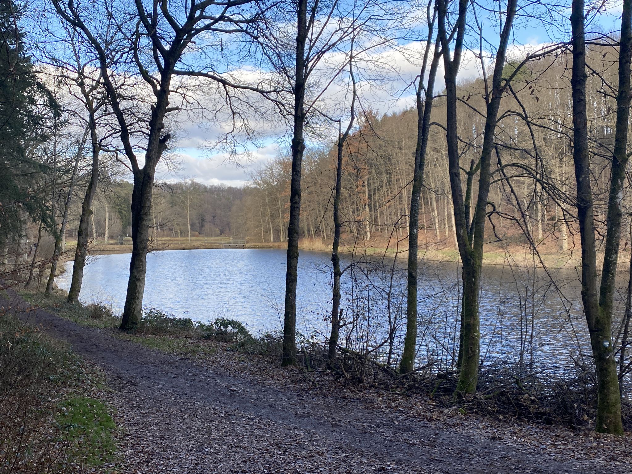 Die 6 Schwarzweiher (mit ~60.000 m2 Wasseroberfläche)