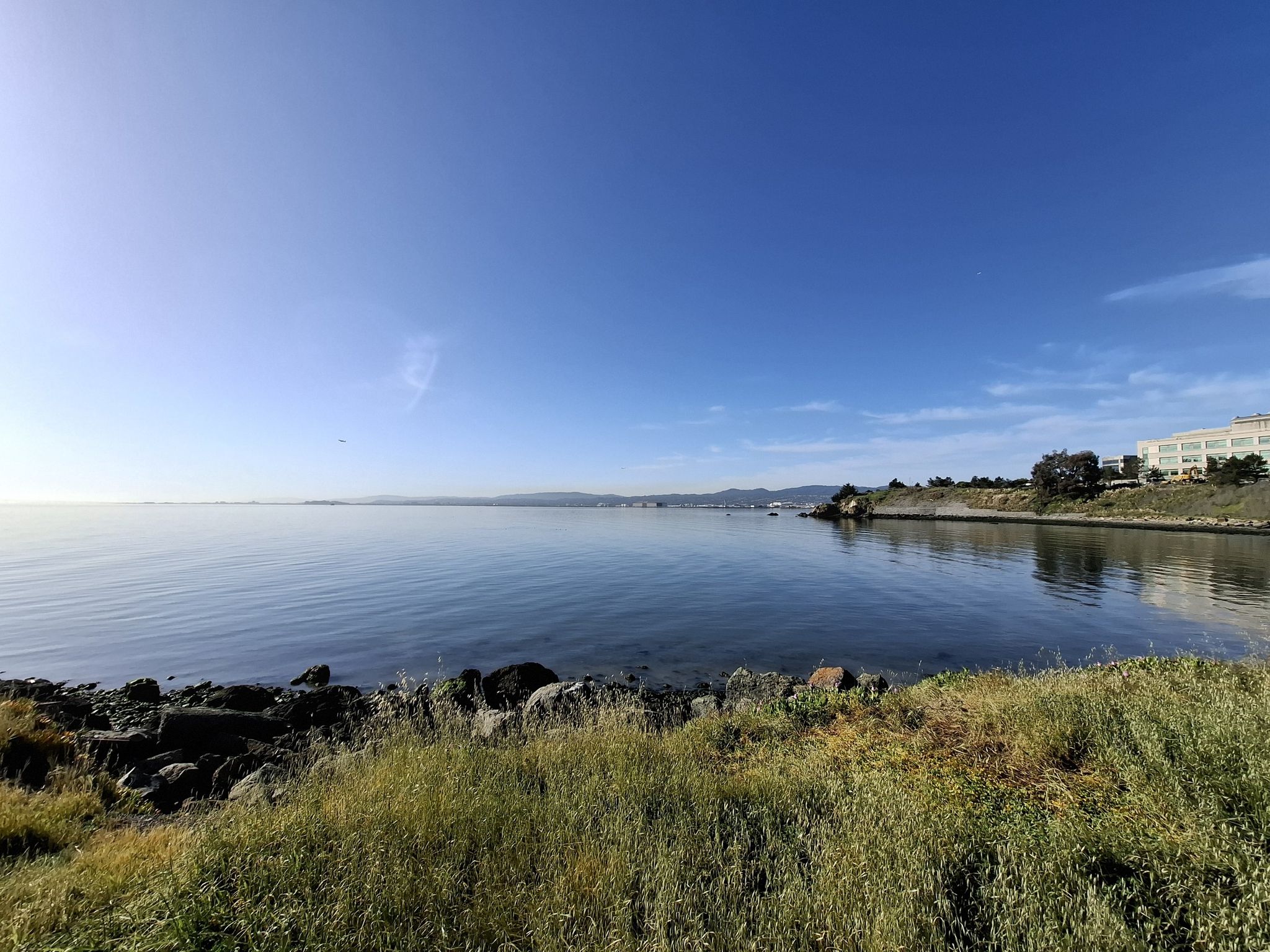 Calm, reflective water with a rocky shore and green grass under a bright sky. - Oyster Point Fishing Pier – Sierra Point Fishing Pier loop from Oyster Point Marina Park