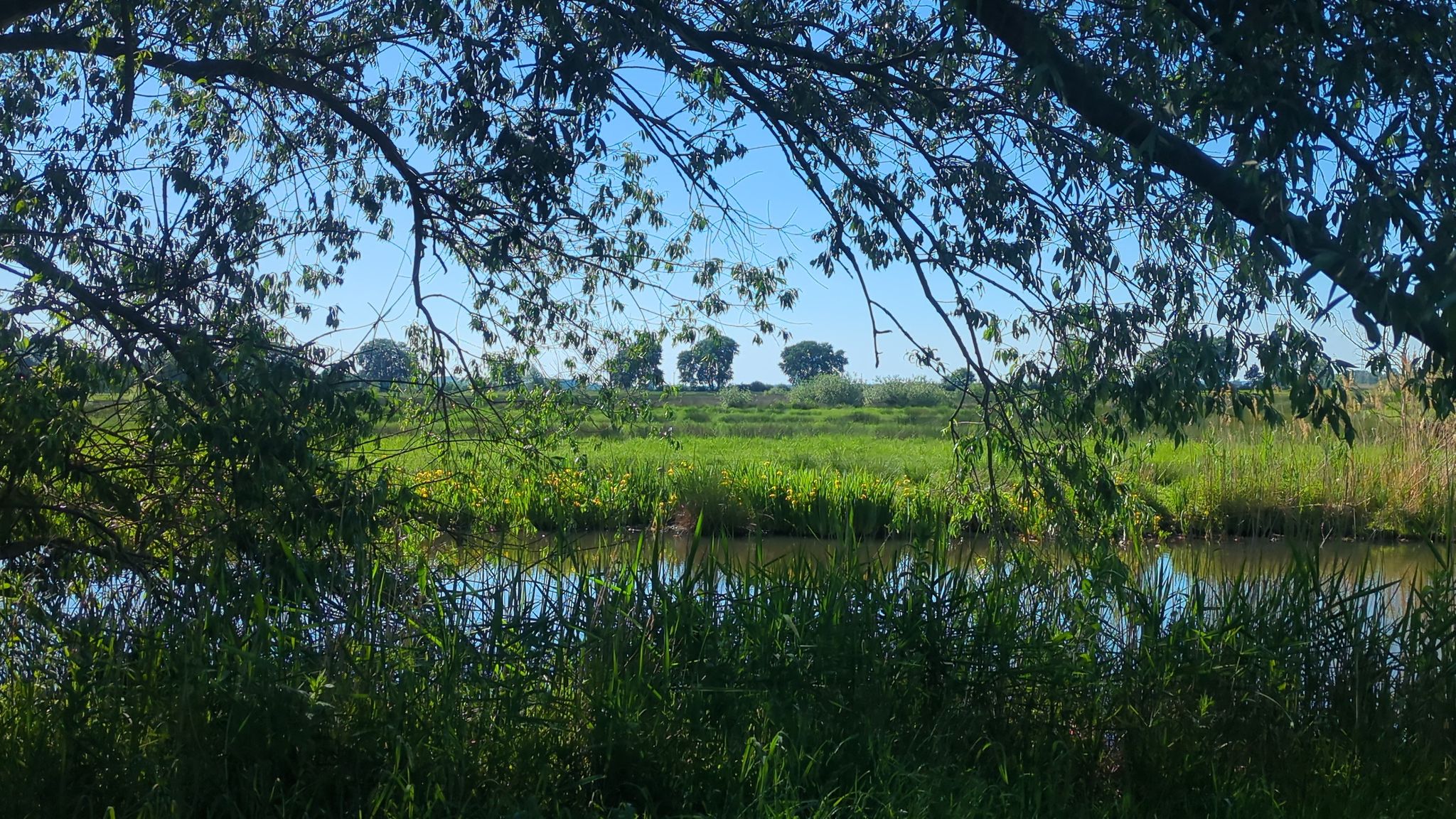 Blick auf s Naturschutz gebiet