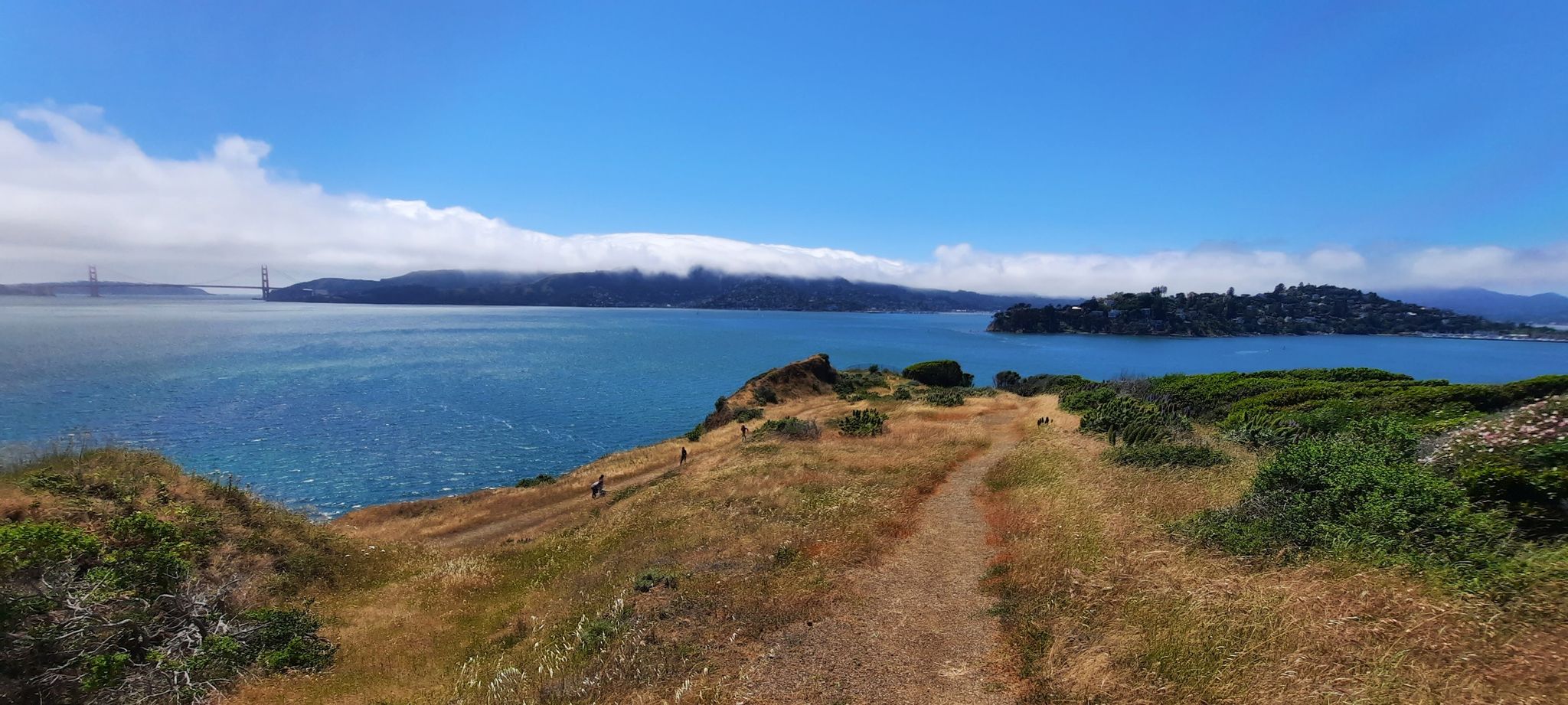 Sunny panoramic view of a dirt path, blue bay, distant bridge, and clouds. - Hiking loop from Angel Island