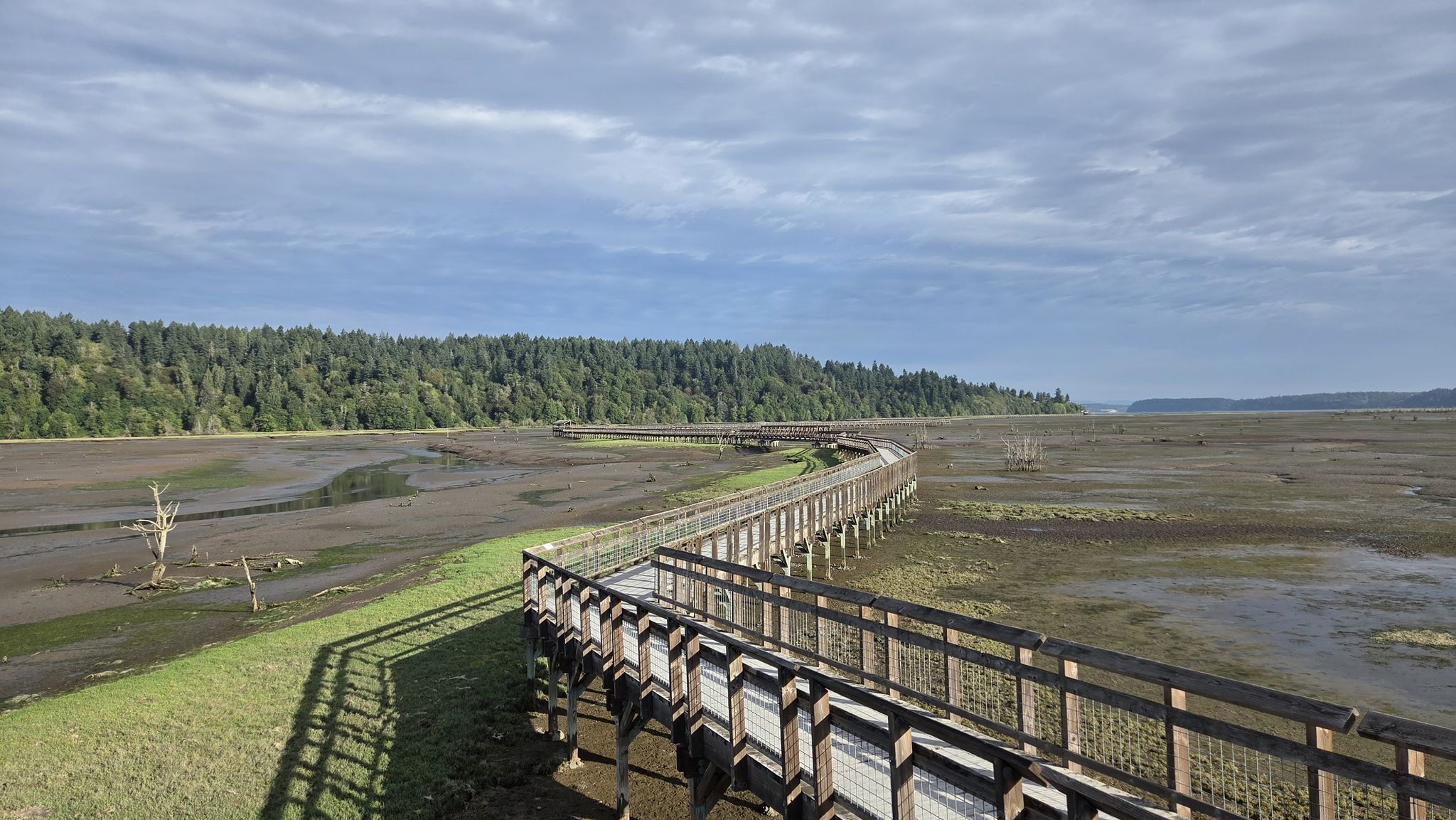 Long wooden boardwalk curves over muddy tidal flats and distant forest. - Hiking loop from Nisqually Trout Farm Dam