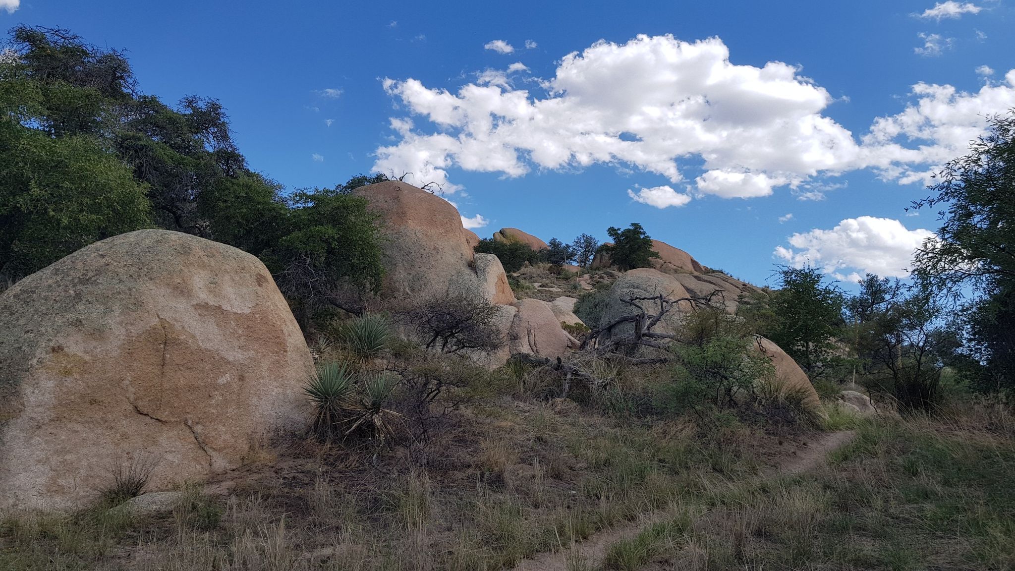 Large boulders and green trees on a sunny hillside with a dirt path. - Cochise Stronghold Loop